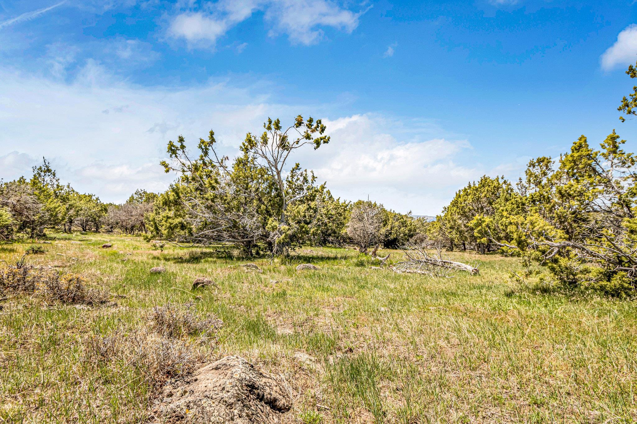 53873 Ie 3/4 Road Property Photo 7