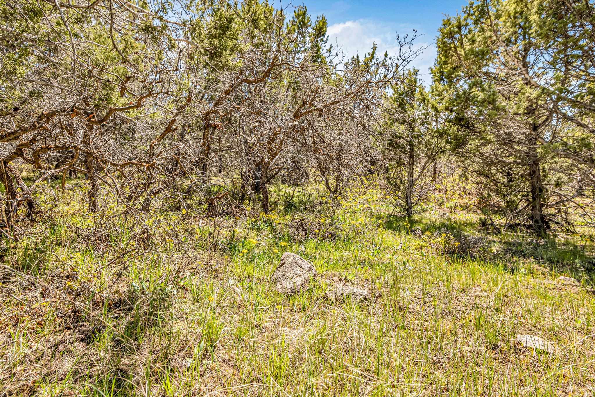 53873 Ie 3/4 Road Property Photo 8