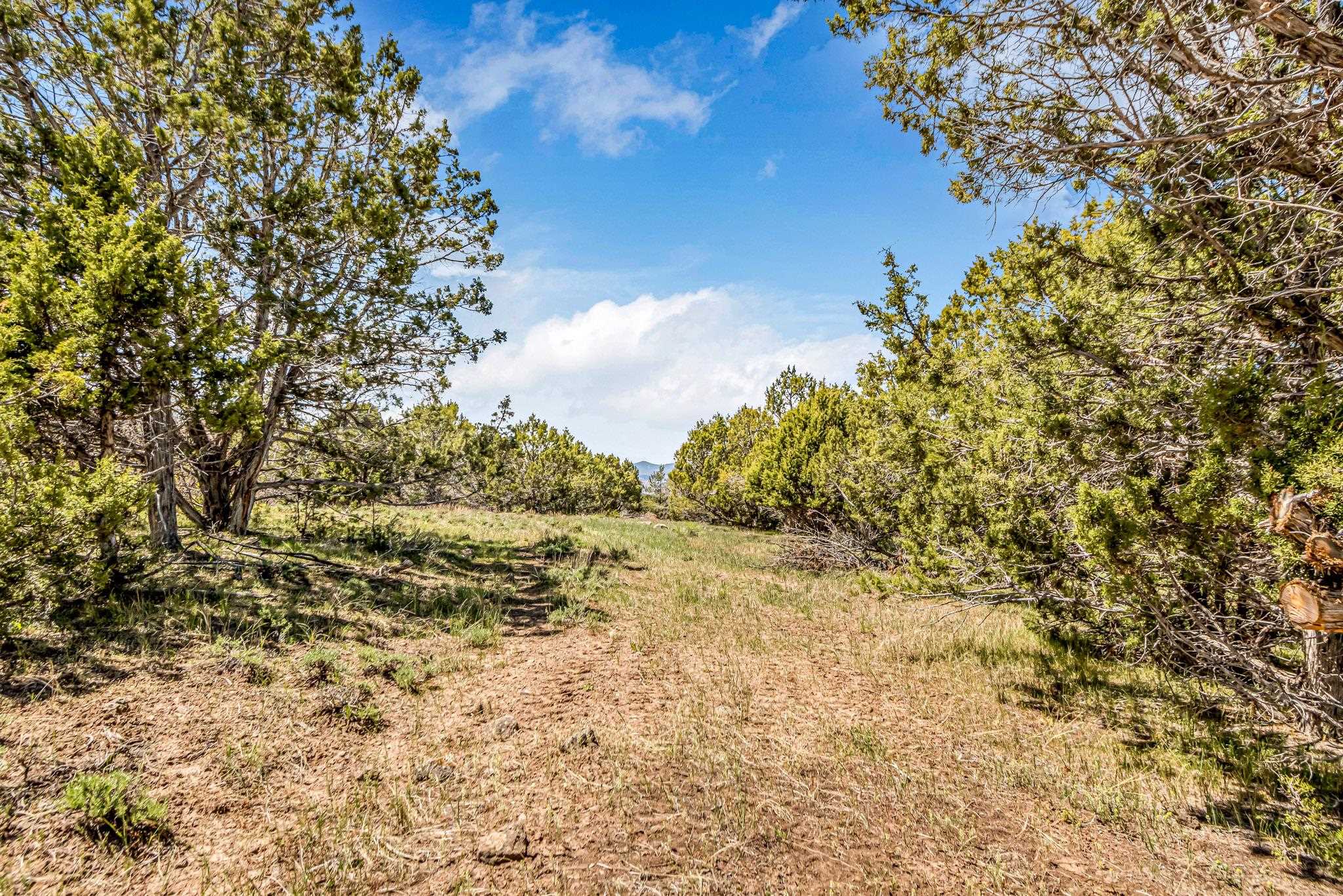 53873 Ie 3/4 Road Property Photo 9