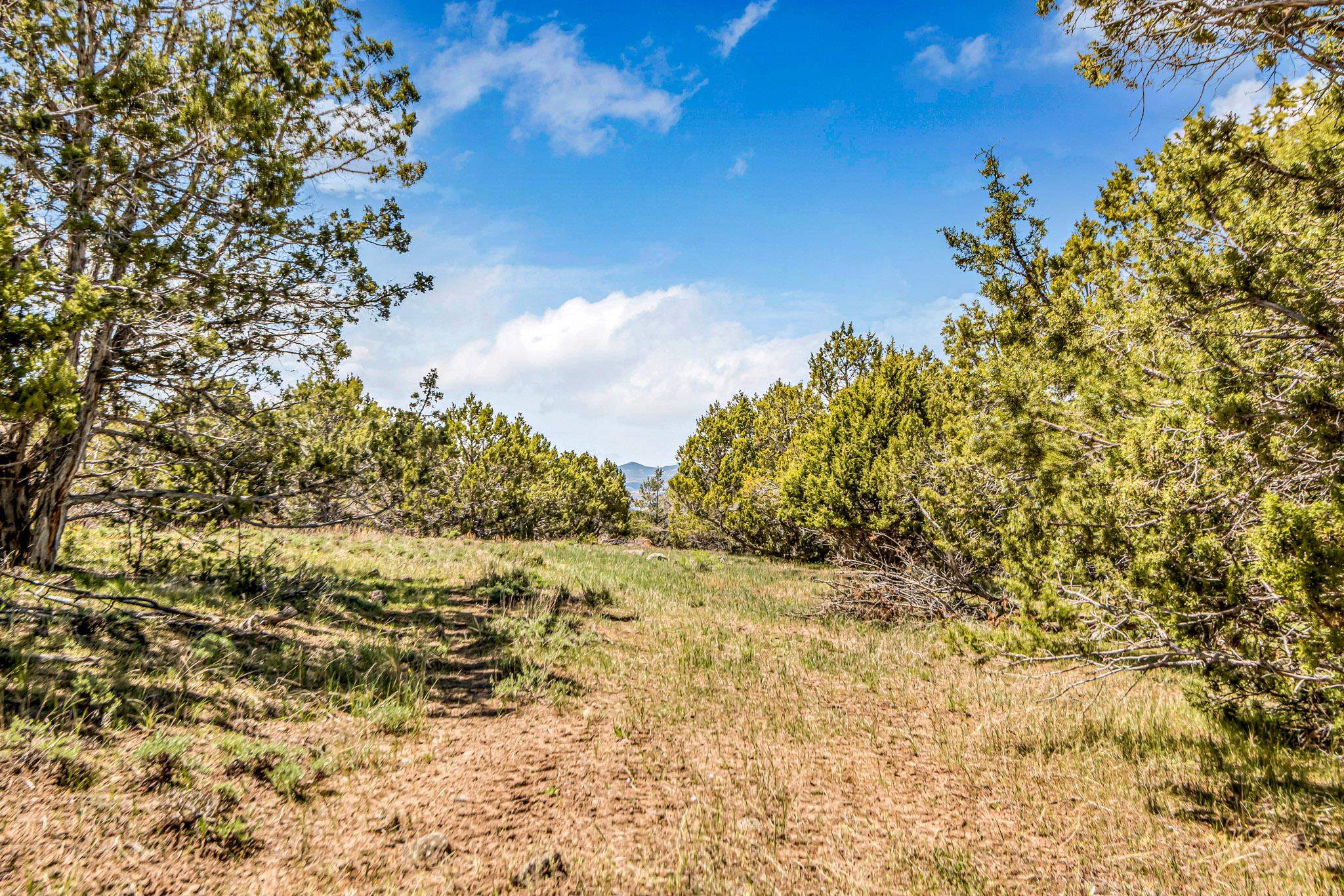 53873 Ie 3/4 Road Property Photo 10