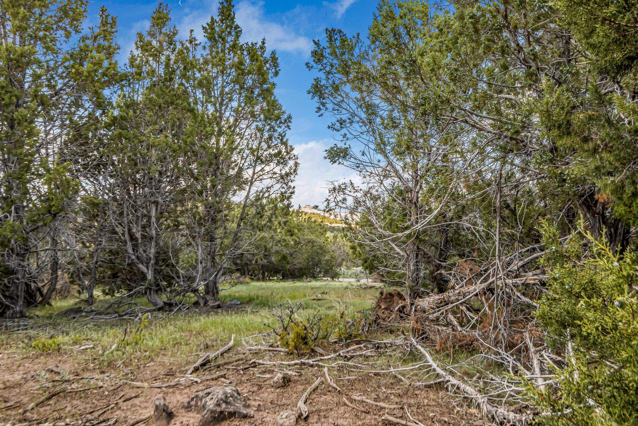 53873 Ie 3/4 Road Property Photo 11