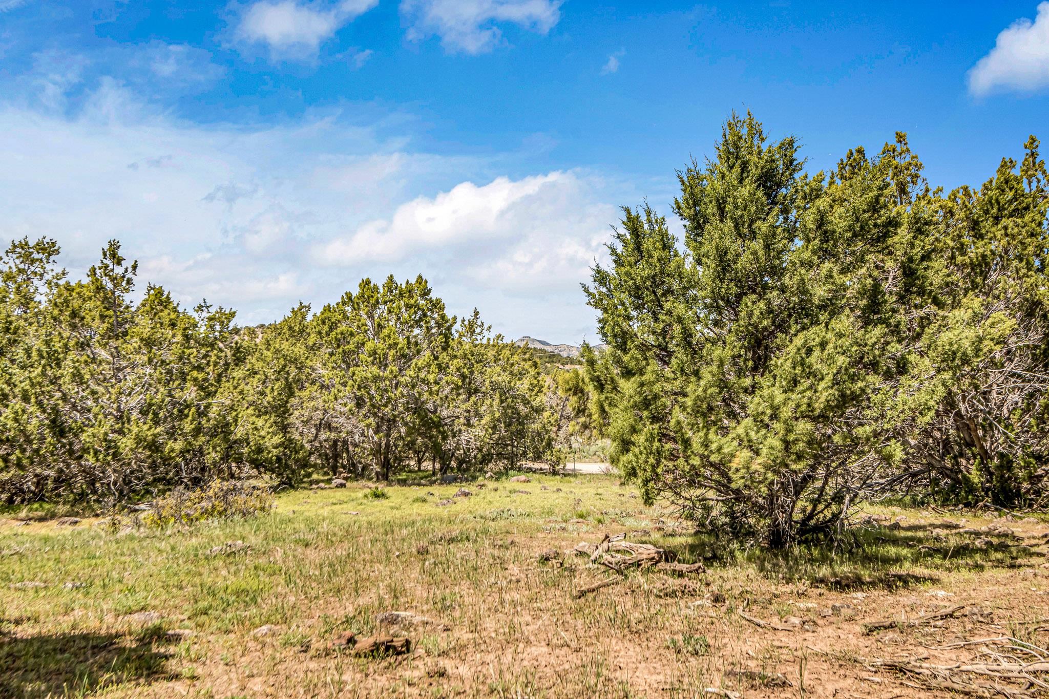 53873 Ie 3/4 Road Property Photo 12