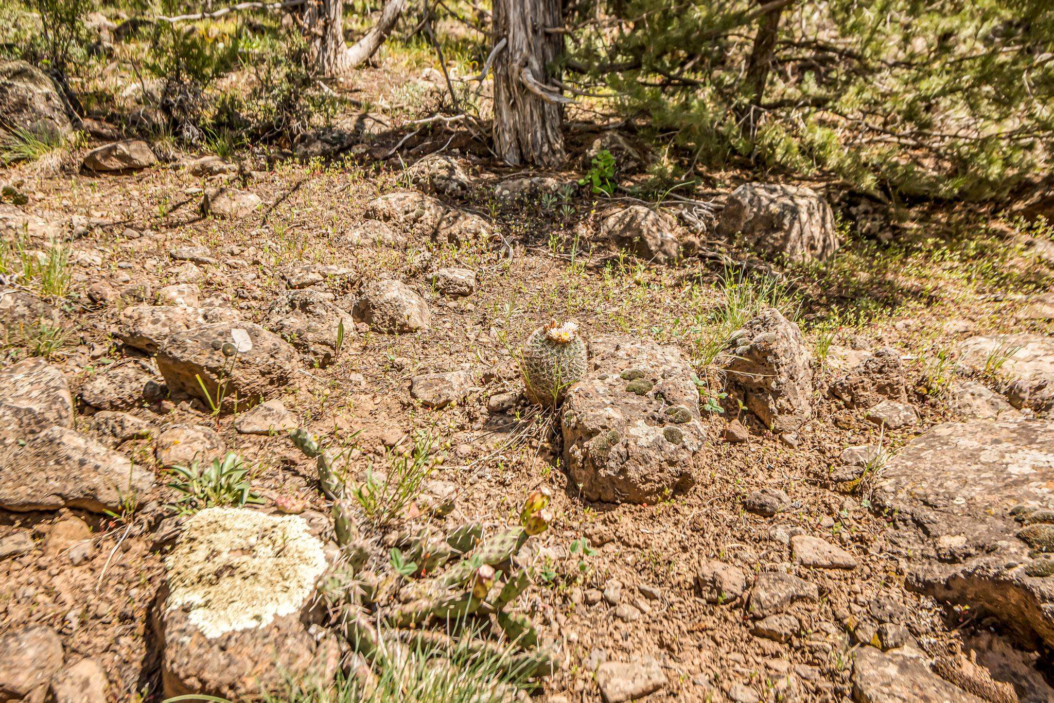 53873 Ie 3/4 Road Property Photo 13