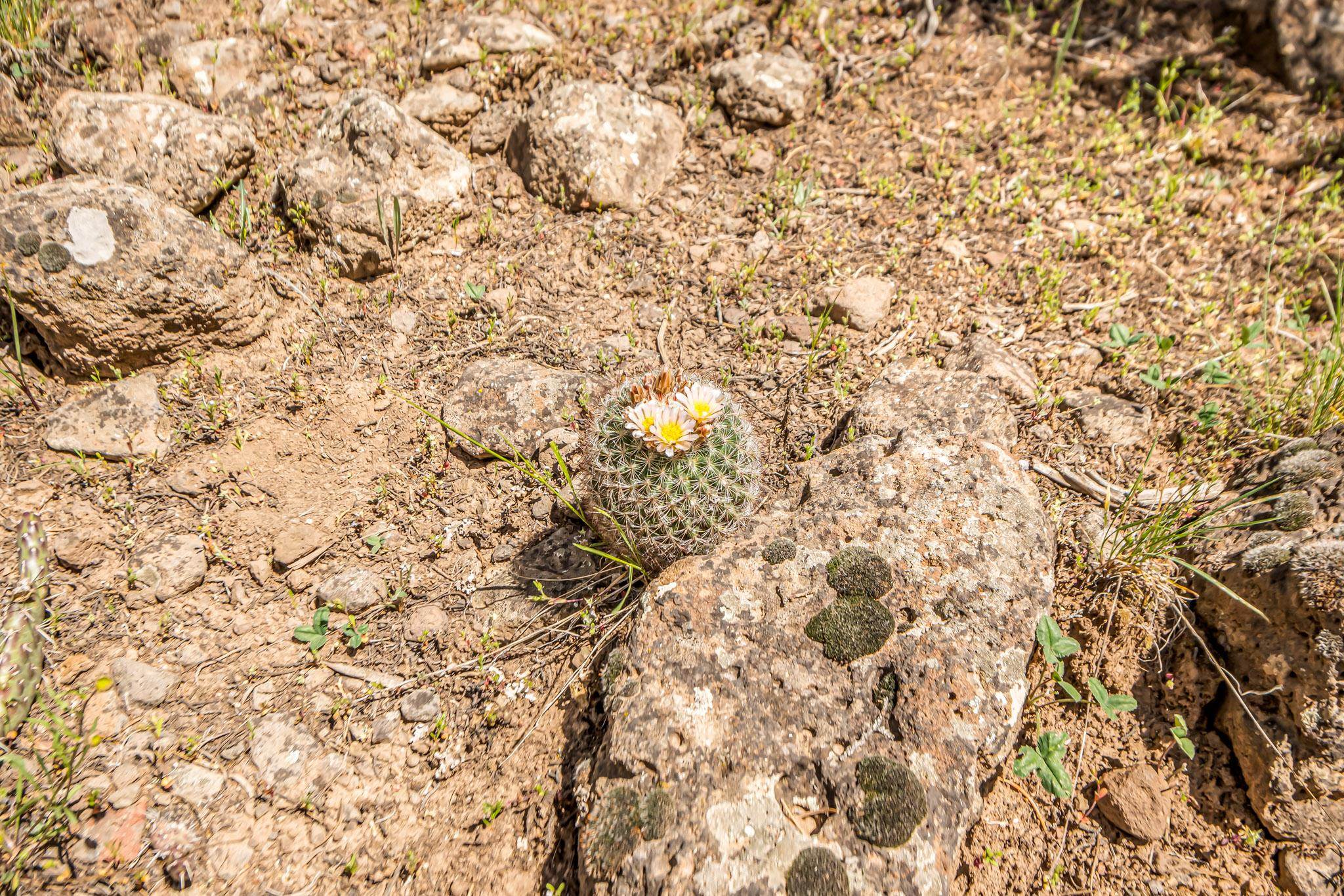 53873 Ie 3/4 Road Property Photo 14