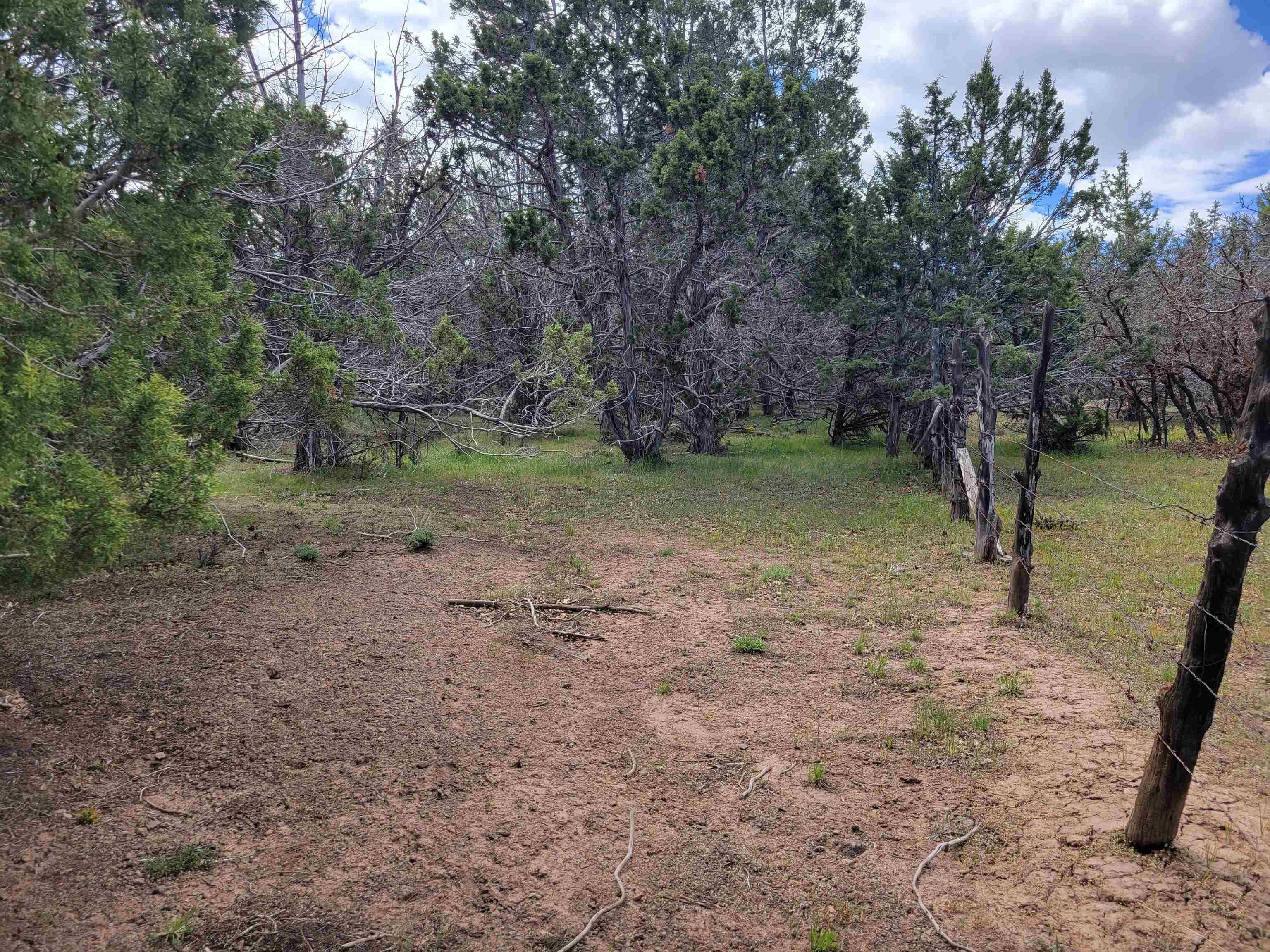 53873 Ie 3/4 Road Property Photo 15