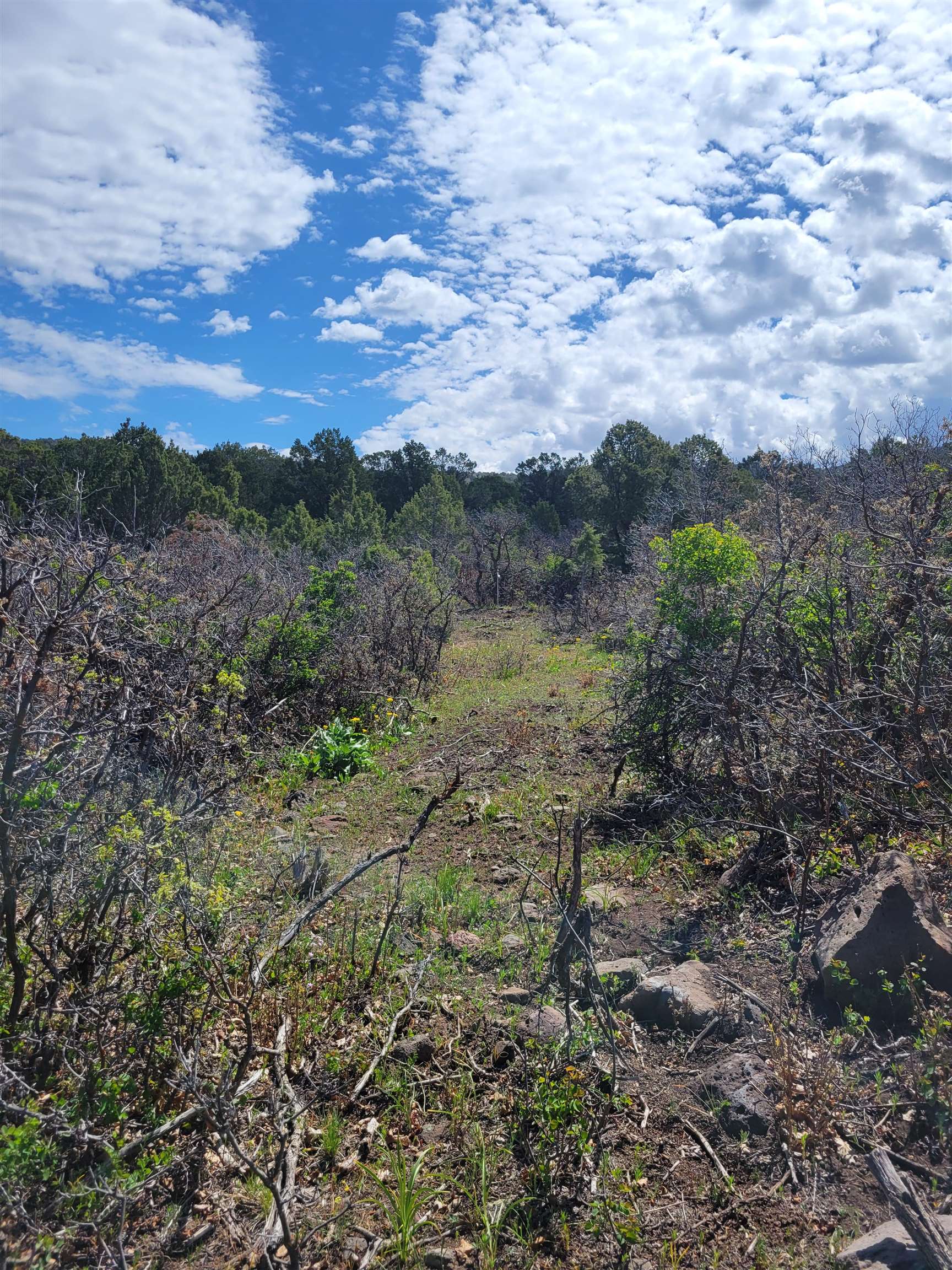 53873 Ie 3/4 Road Property Photo 16