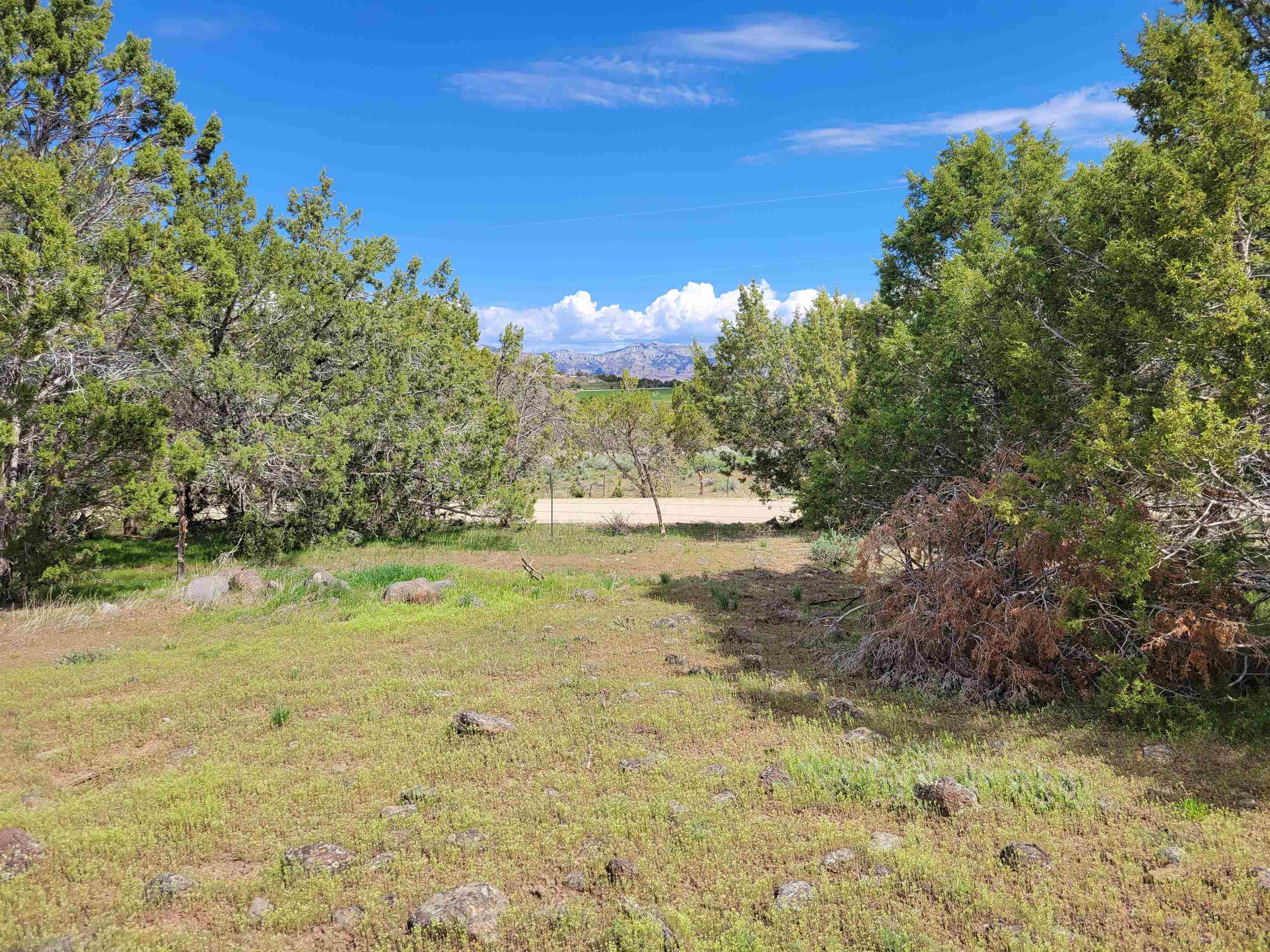 53873 Ie 3/4 Road Property Photo 17