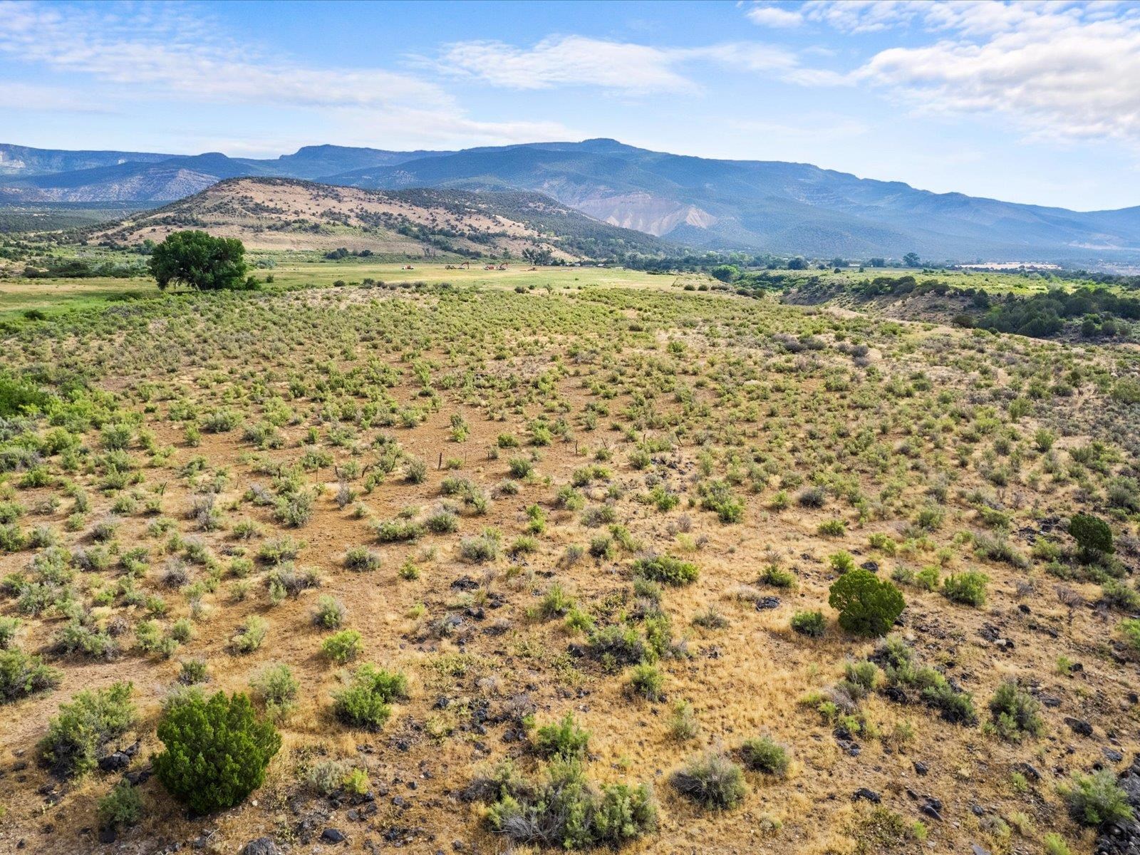5681 Purdy Mesa Road Property Photo 12