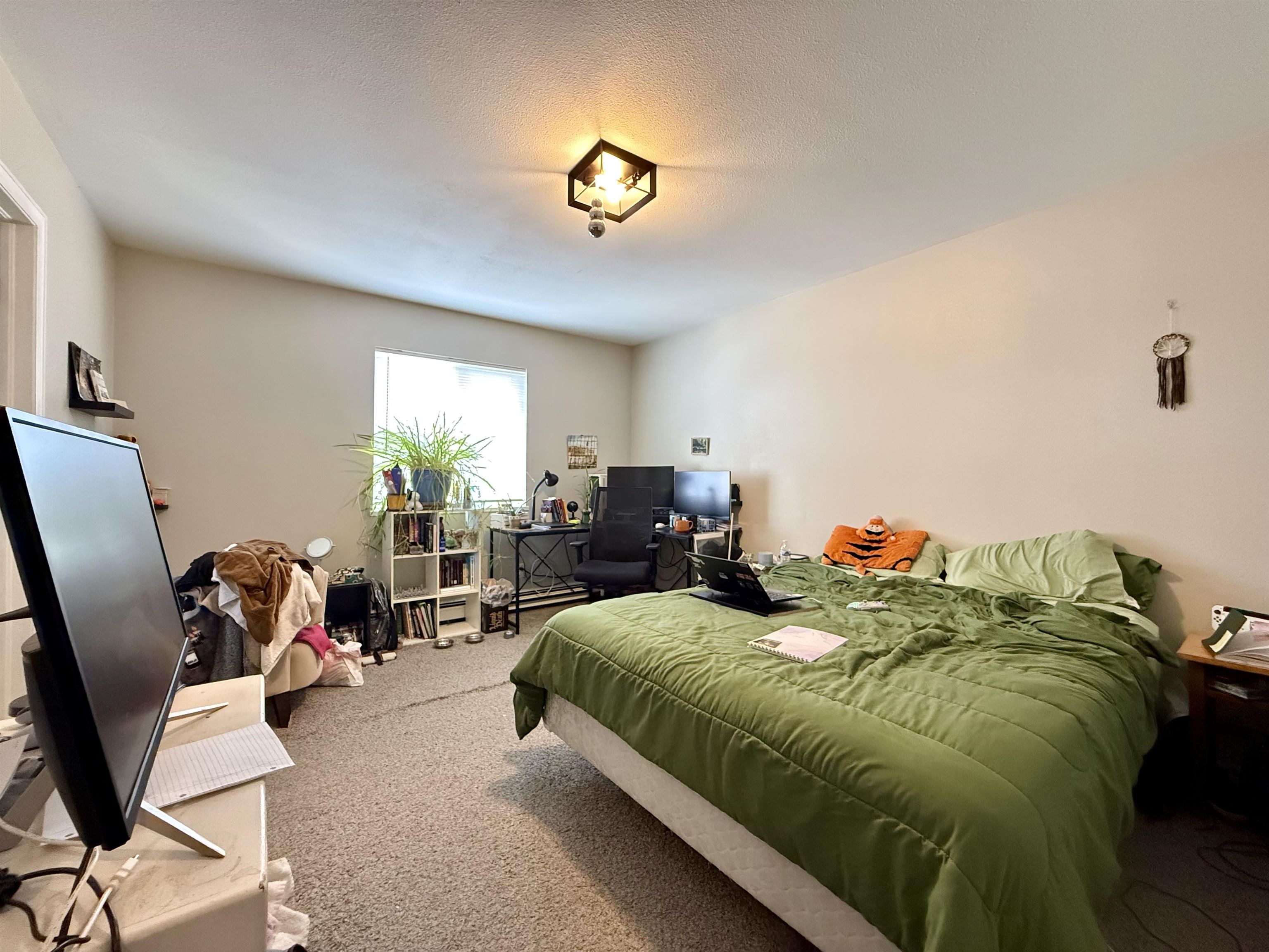 3186 S Torreys Peak Property Photo 9