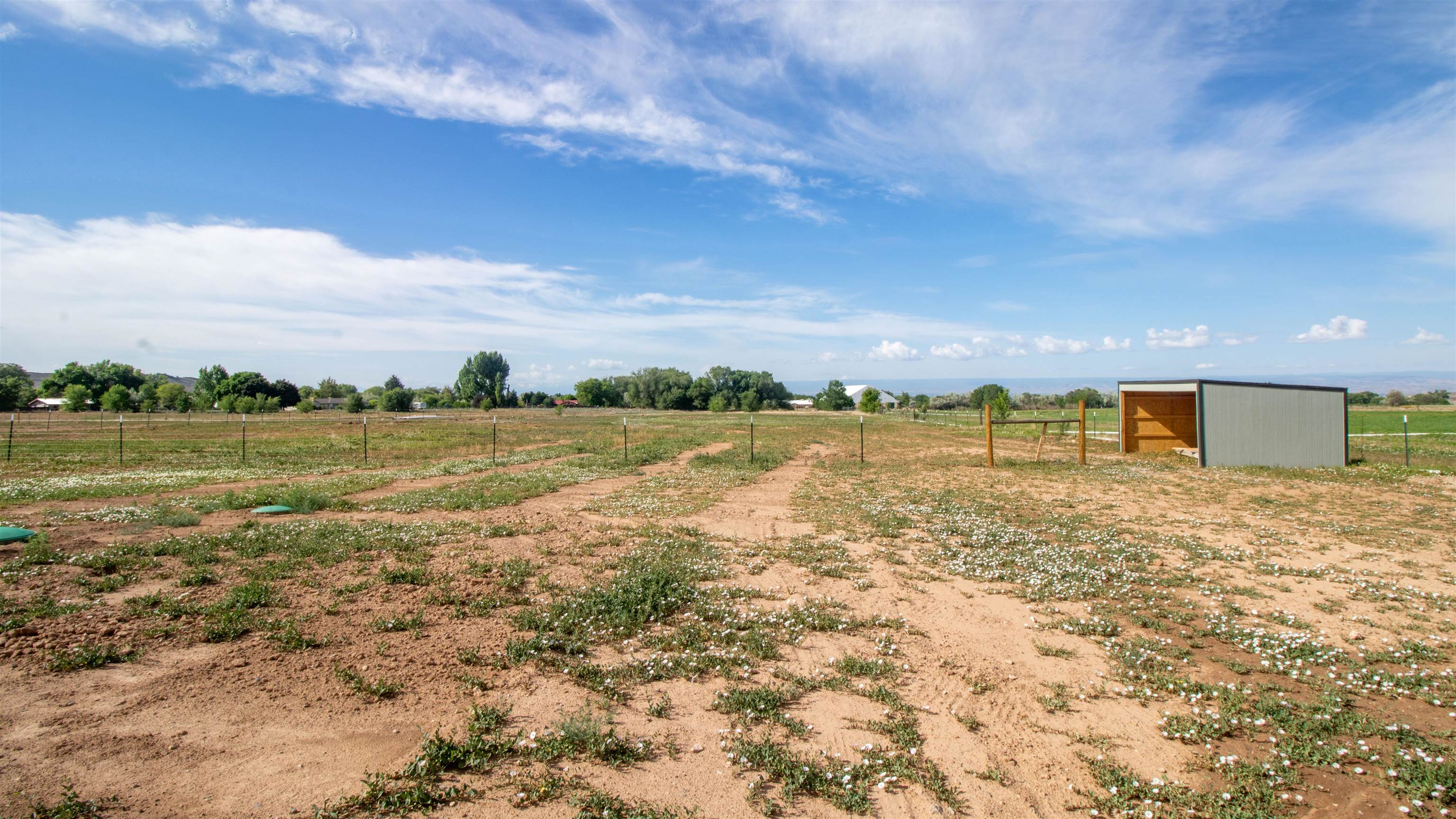 21030 North Road Property Photo 15