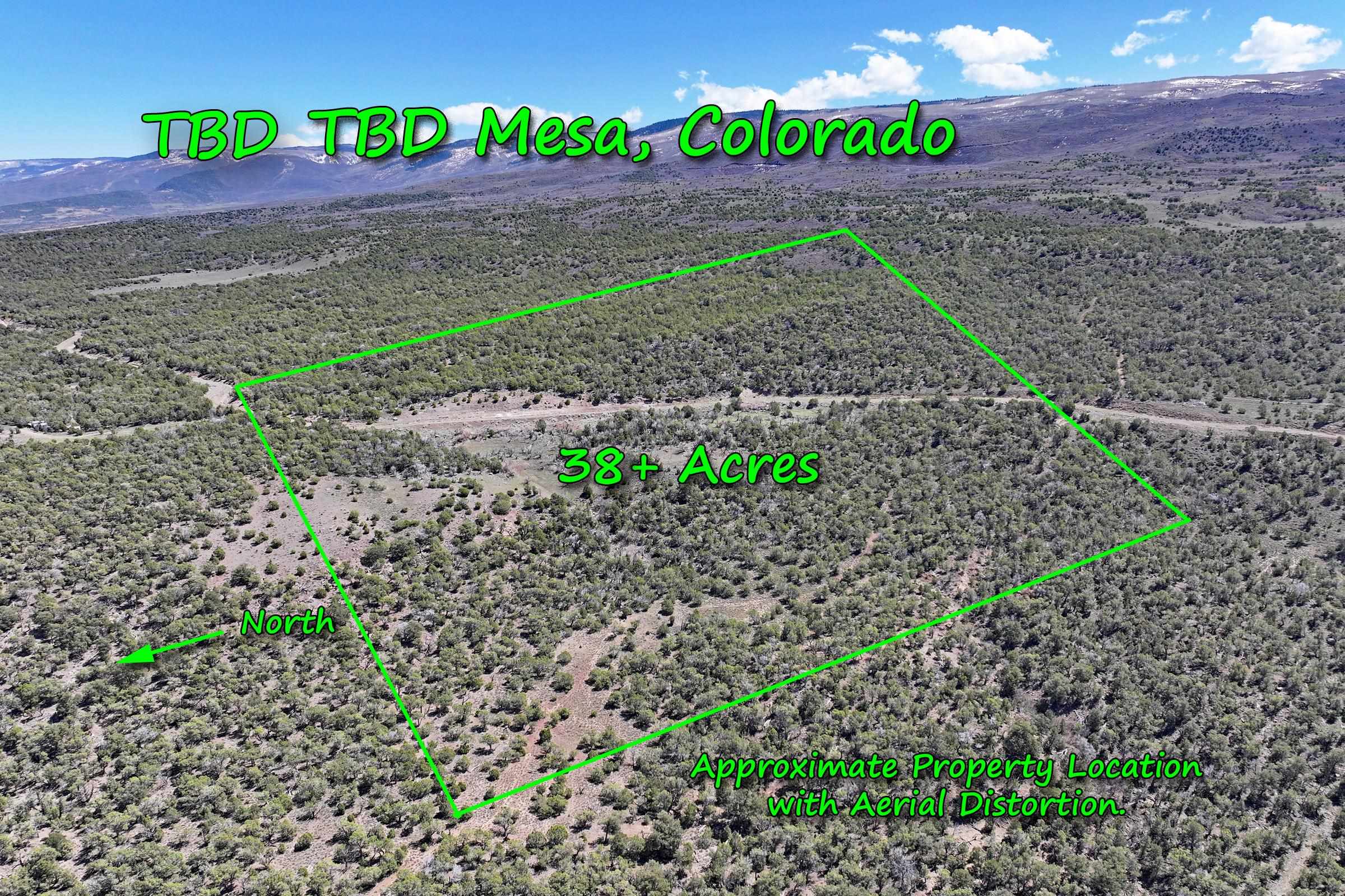 Plateau Valley Real Estate Listings Main Image
