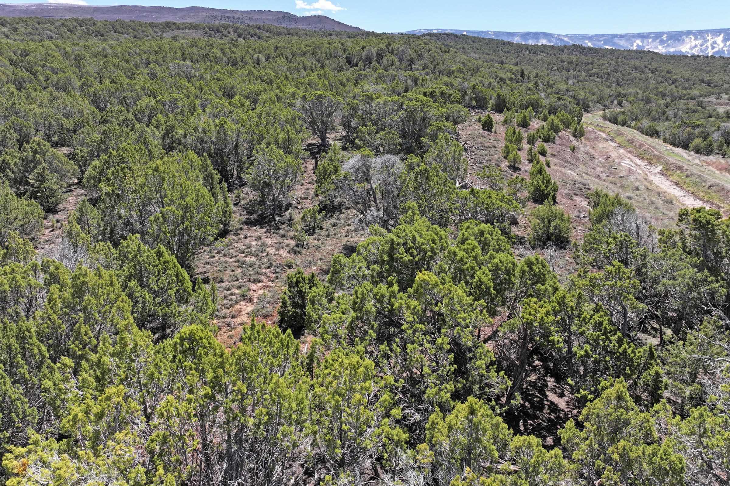 Tbd Tbd Property Photo 3