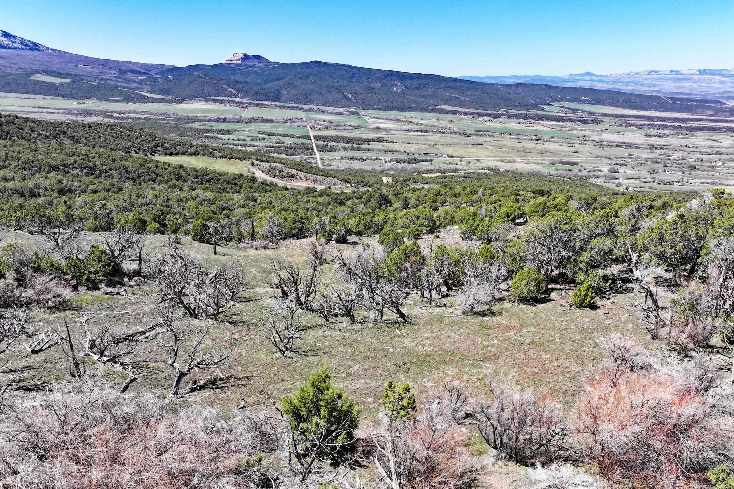 Tbd Tbd Property Photo 6