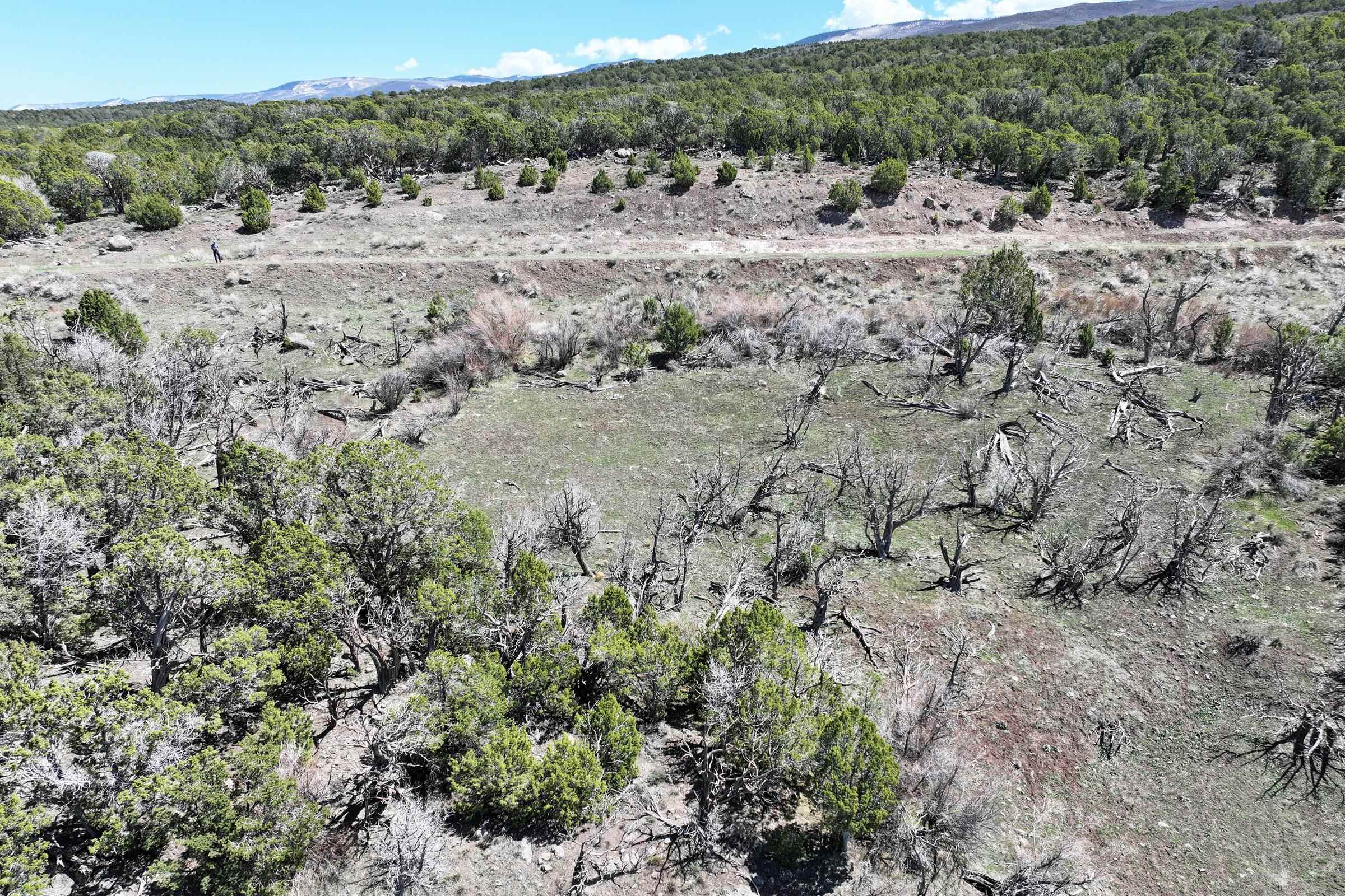 Tbd Tbd Property Photo 7