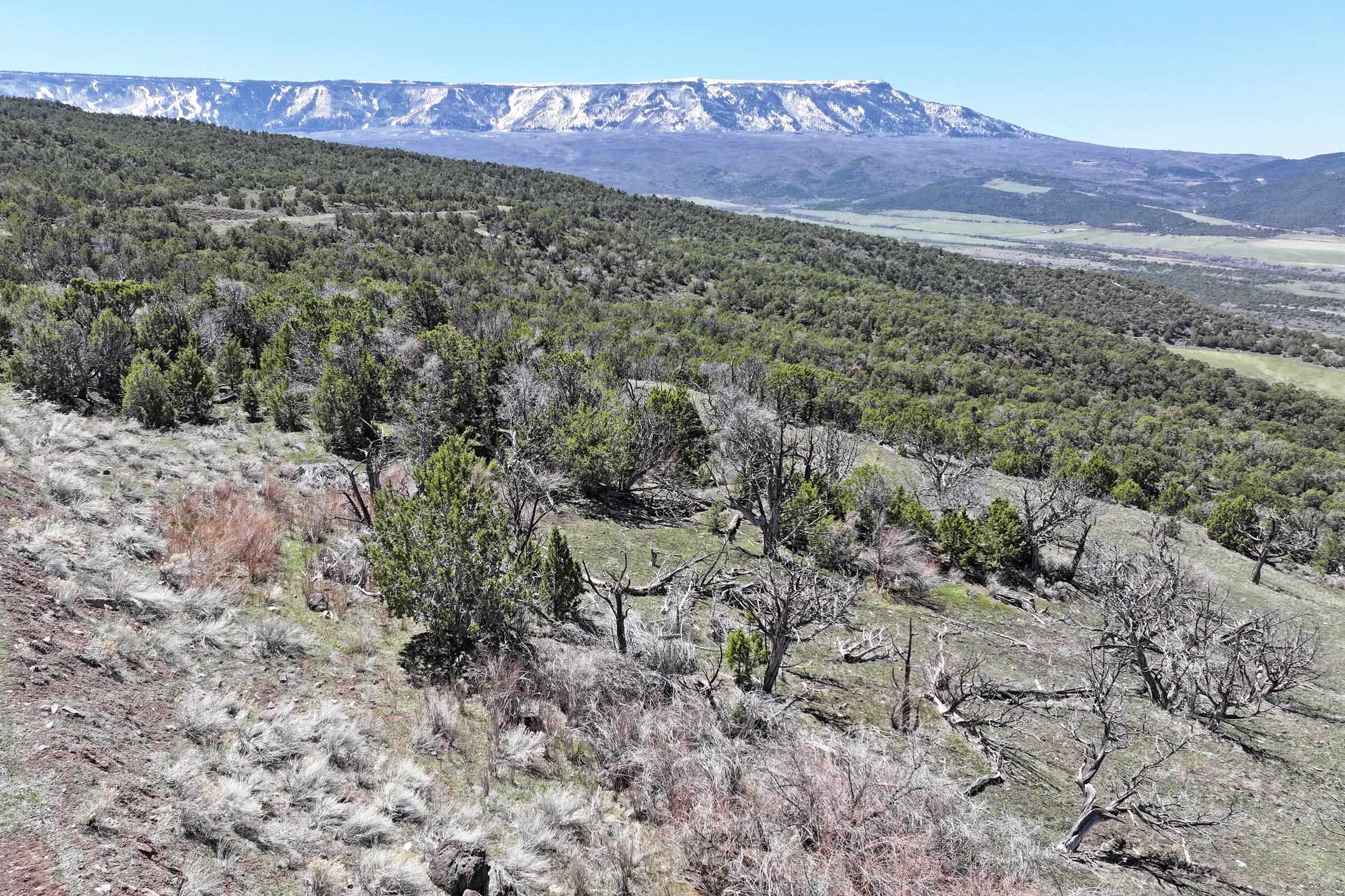 Tbd Tbd Property Photo 8