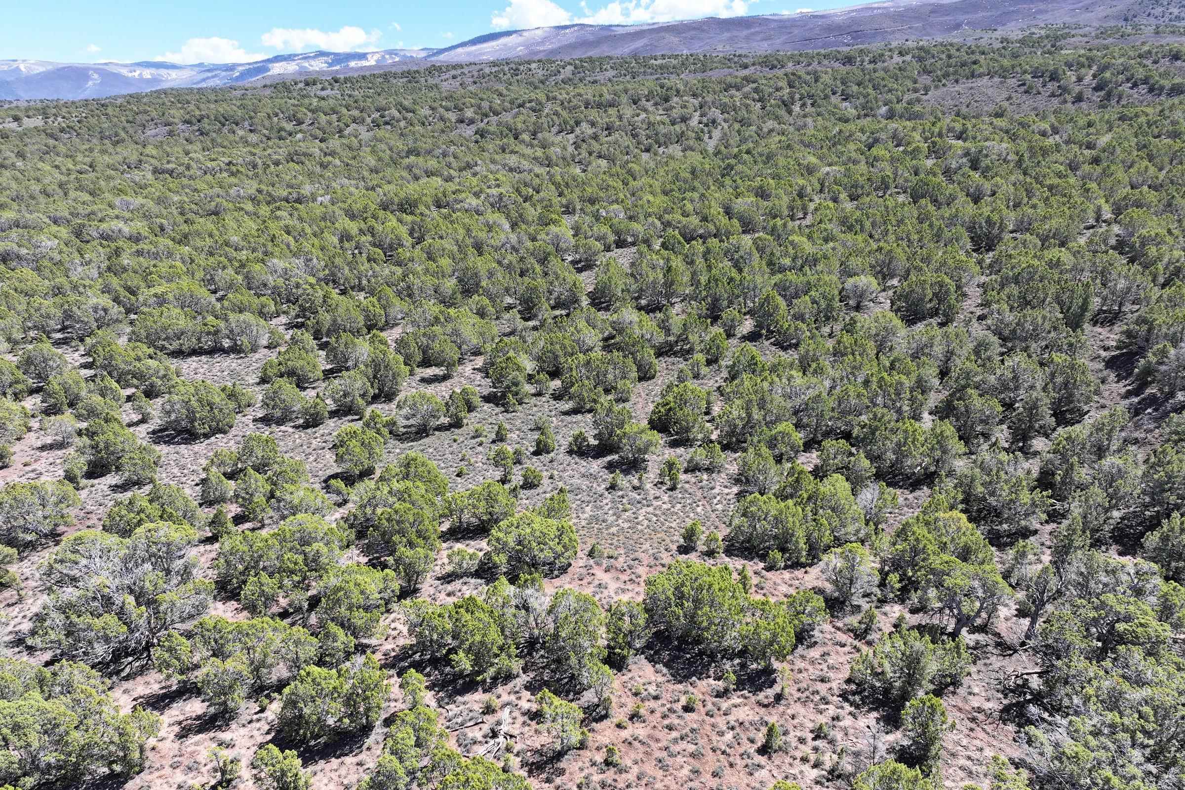 Tbd Tbd Property Photo 9
