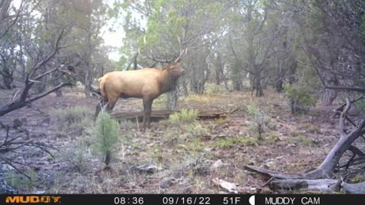 Tbd Tbd Property Photo 15