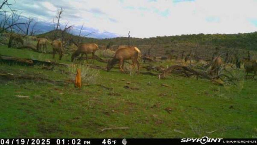 Tbd Tbd Property Photo 16