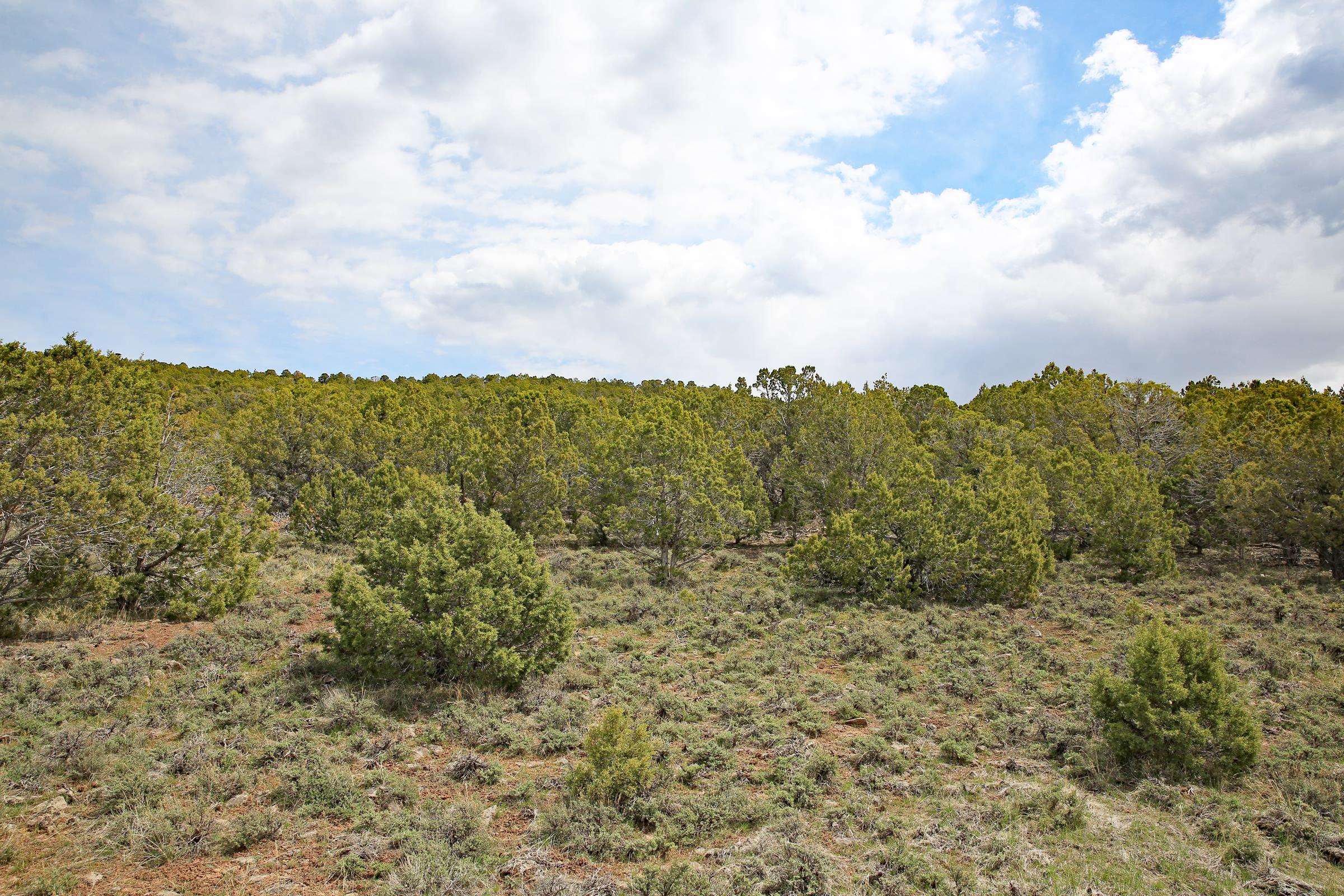 Tbd Kk Road Property Photo 6