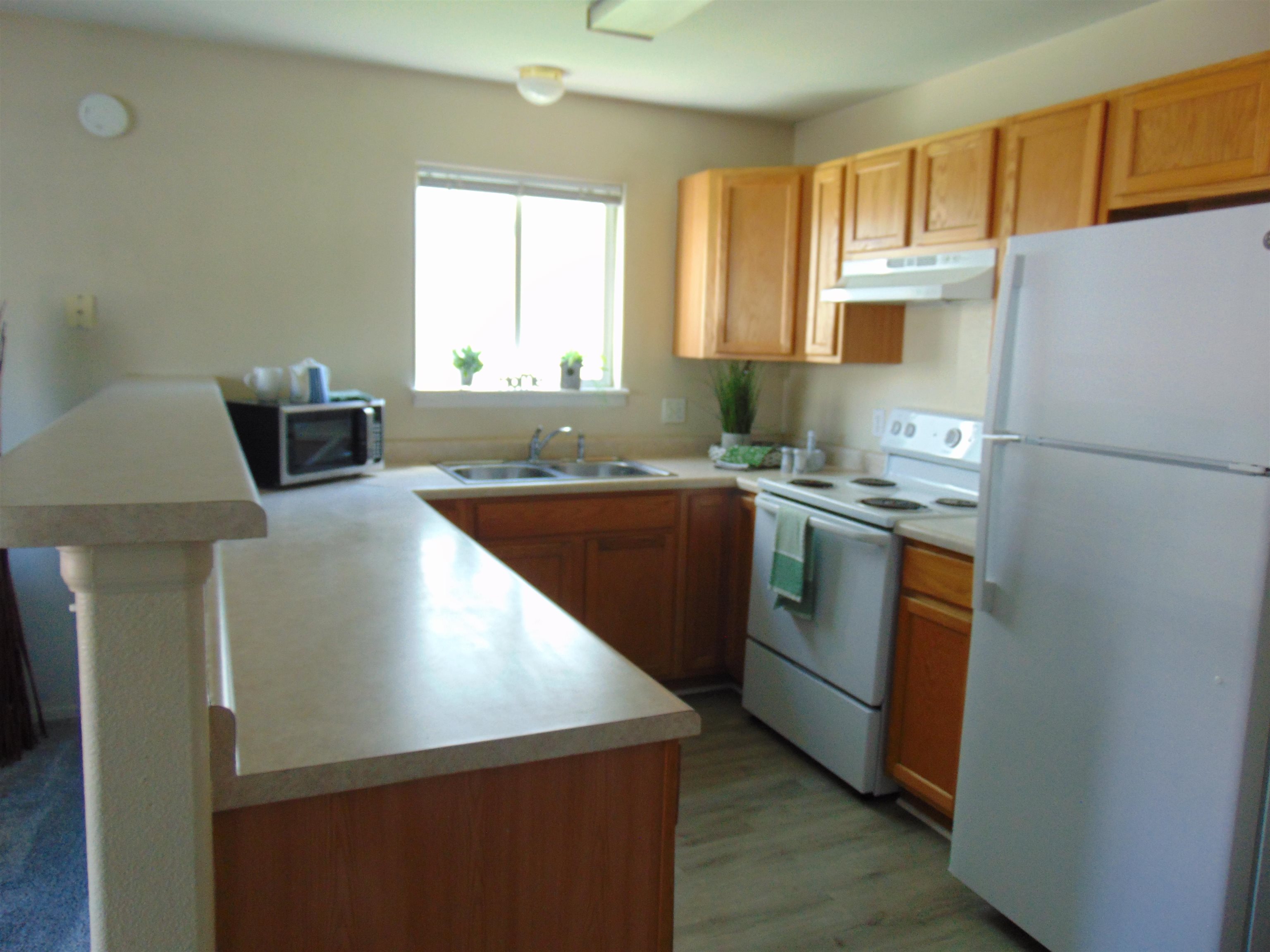 1124 E Carolina Avenue Property Photo 9