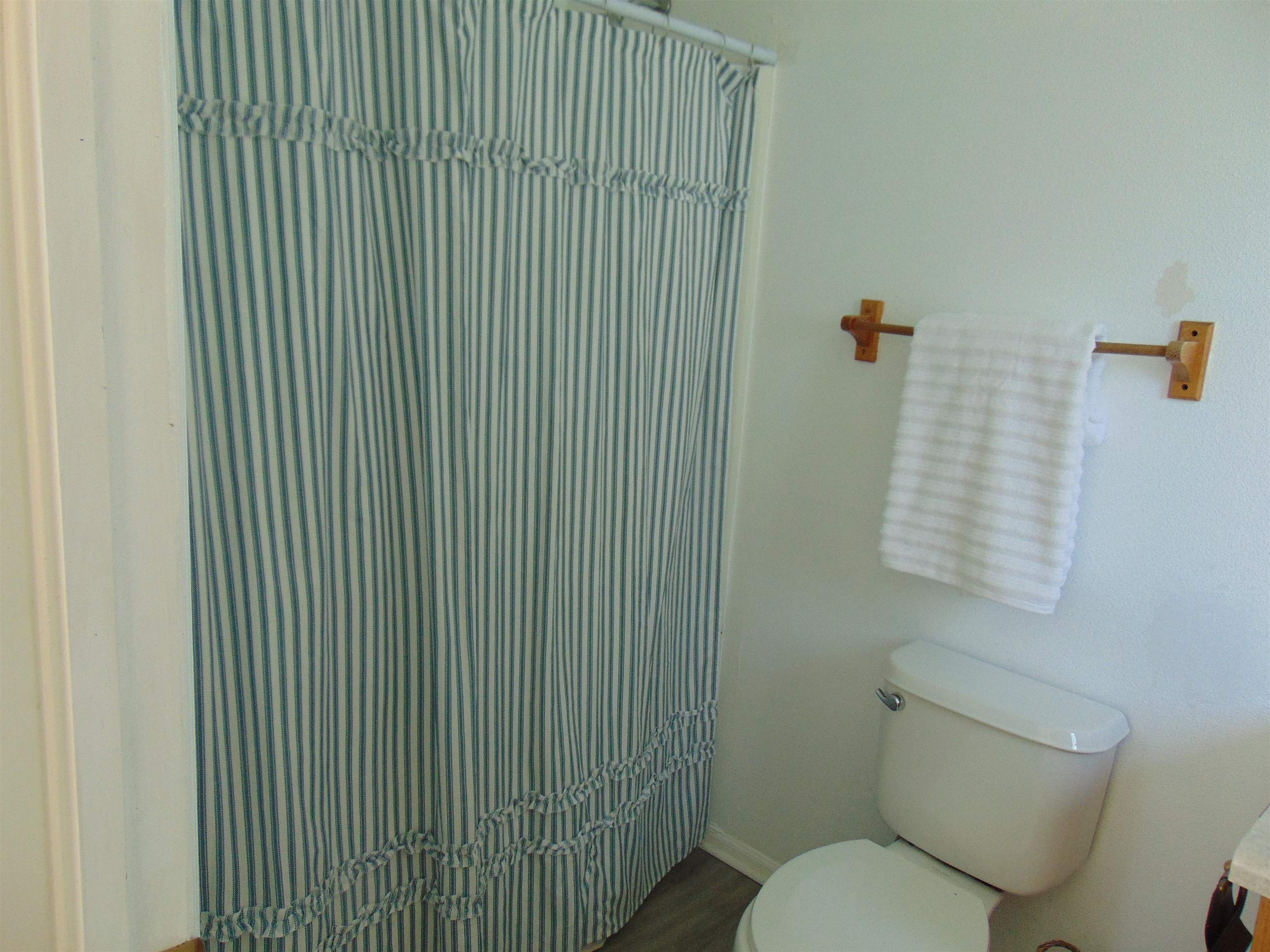 1124 E Carolina Avenue Property Photo 16