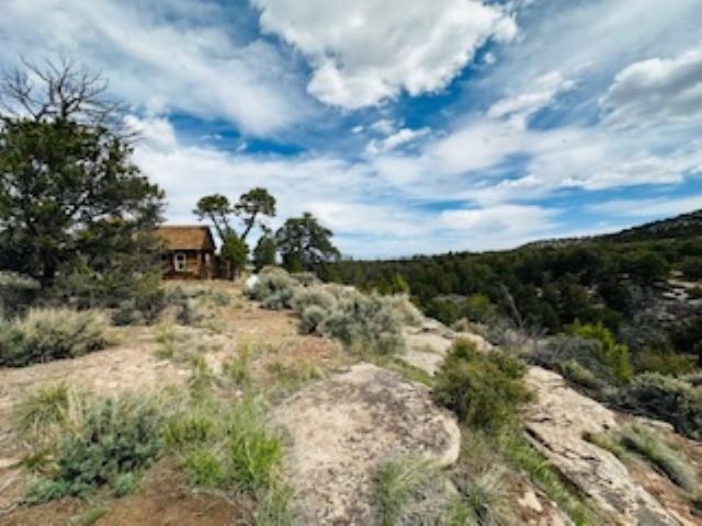 4511 S 16 1/2 Road Property Photo 24