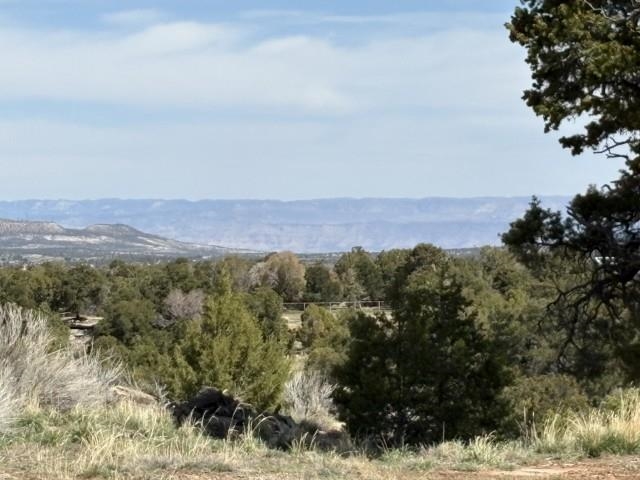 4511 S 16 1/2 Road Property Photo 33
