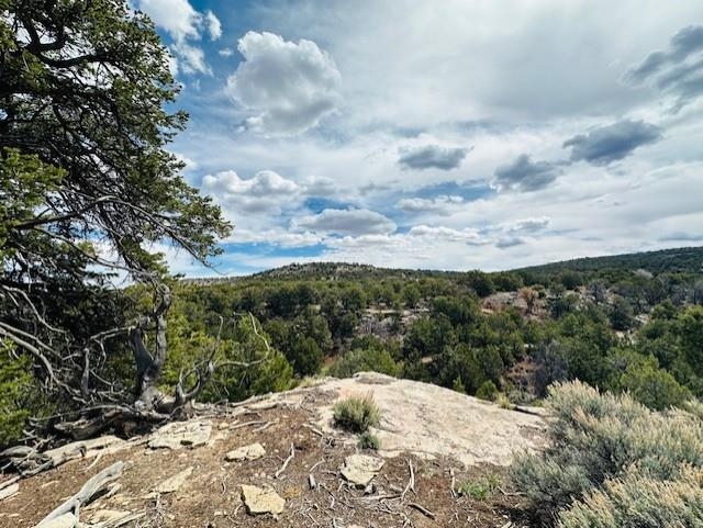 4511 S 16 1/2 Road Property Photo 35