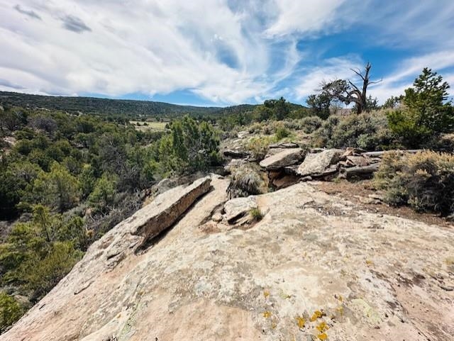 4511 S 16 1/2 Road Property Photo 36