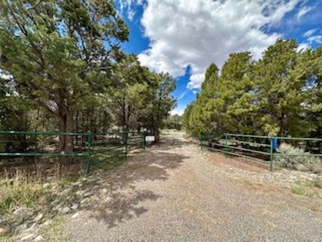 4511 S 16 1/2 Road Property Photo 39