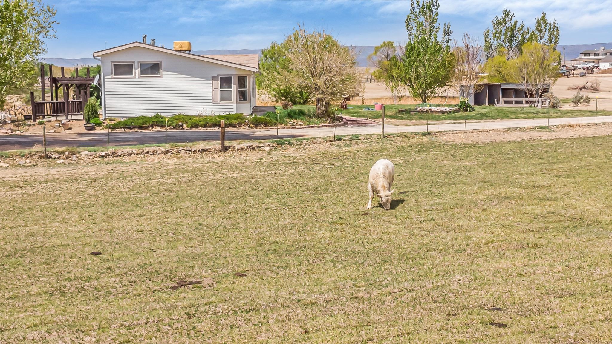 1940 10 Road Property Photo 17