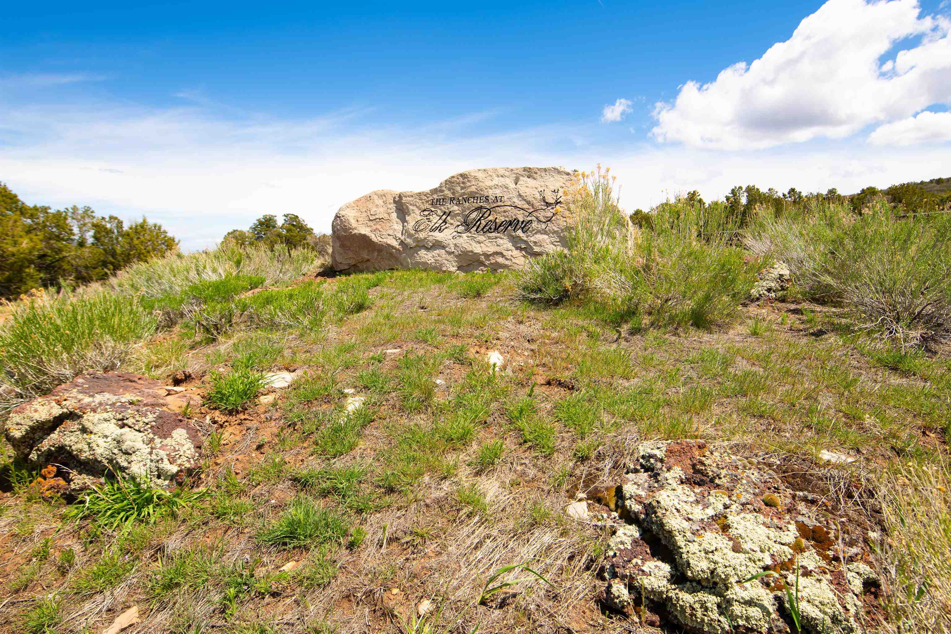 Lots 4,5,& 6 Elk Ranch Road Property Photo 3