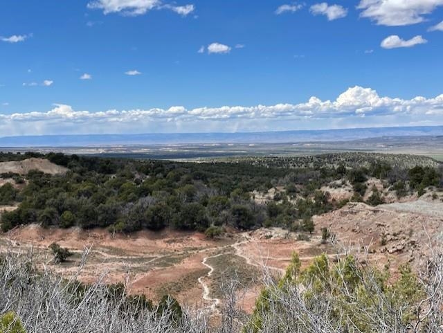 Lots 4,5,& 6 Elk Ranch Road Property Photo 7