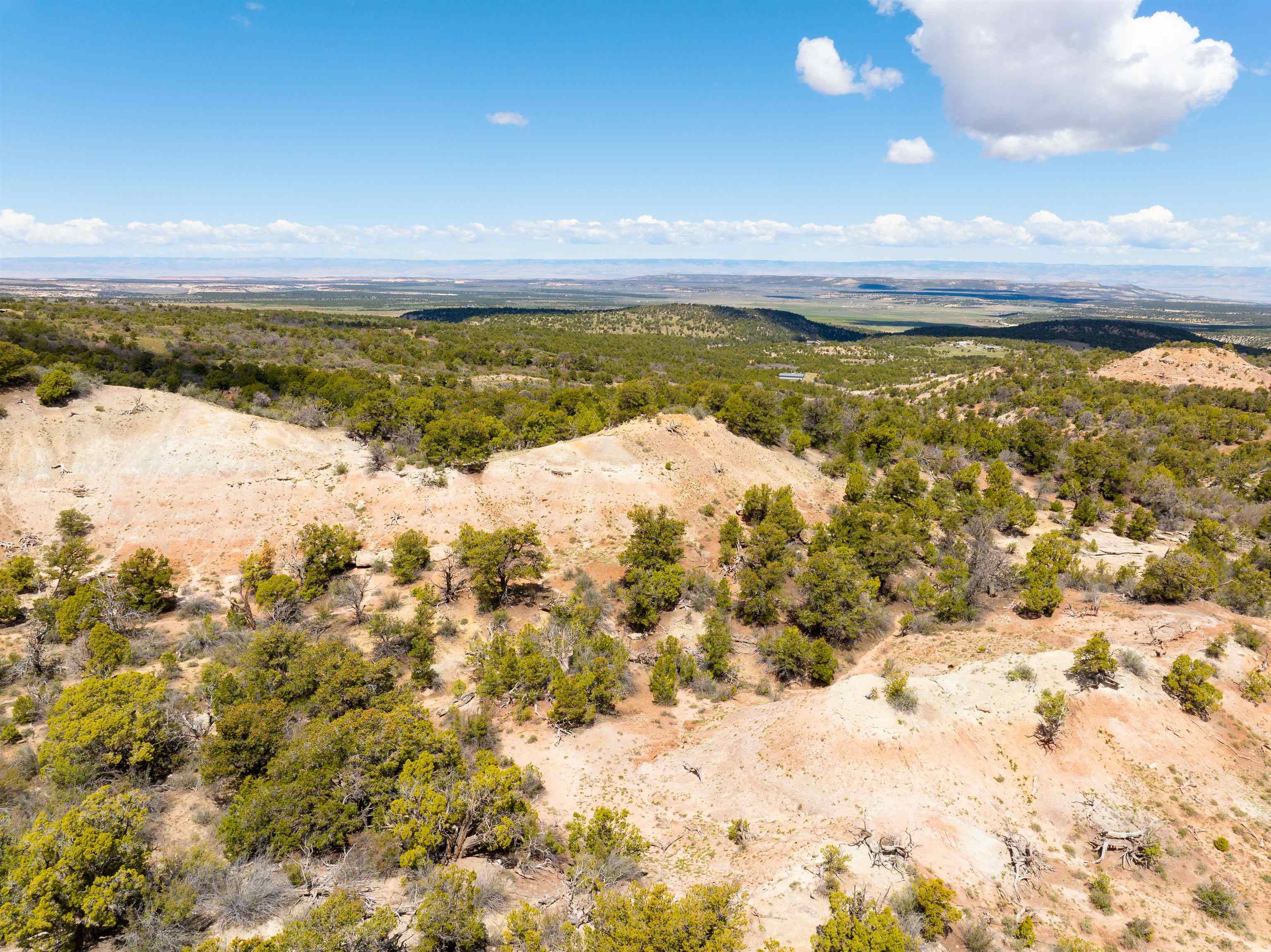 Lots 4,5,& 6 Elk Ranch Road Property Photo 9