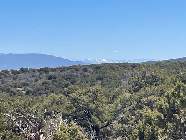 Lots 4,5,& 6 Elk Ranch Road Property Photo 12