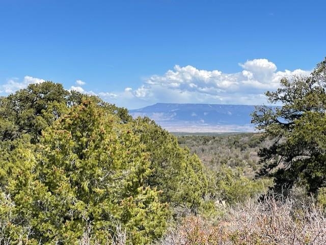 Lots 4,5,& 6 Elk Ranch Road Property Photo 15