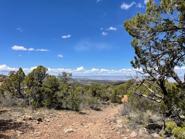 Lots 4,5,& 6 Elk Ranch Road Property Photo 17