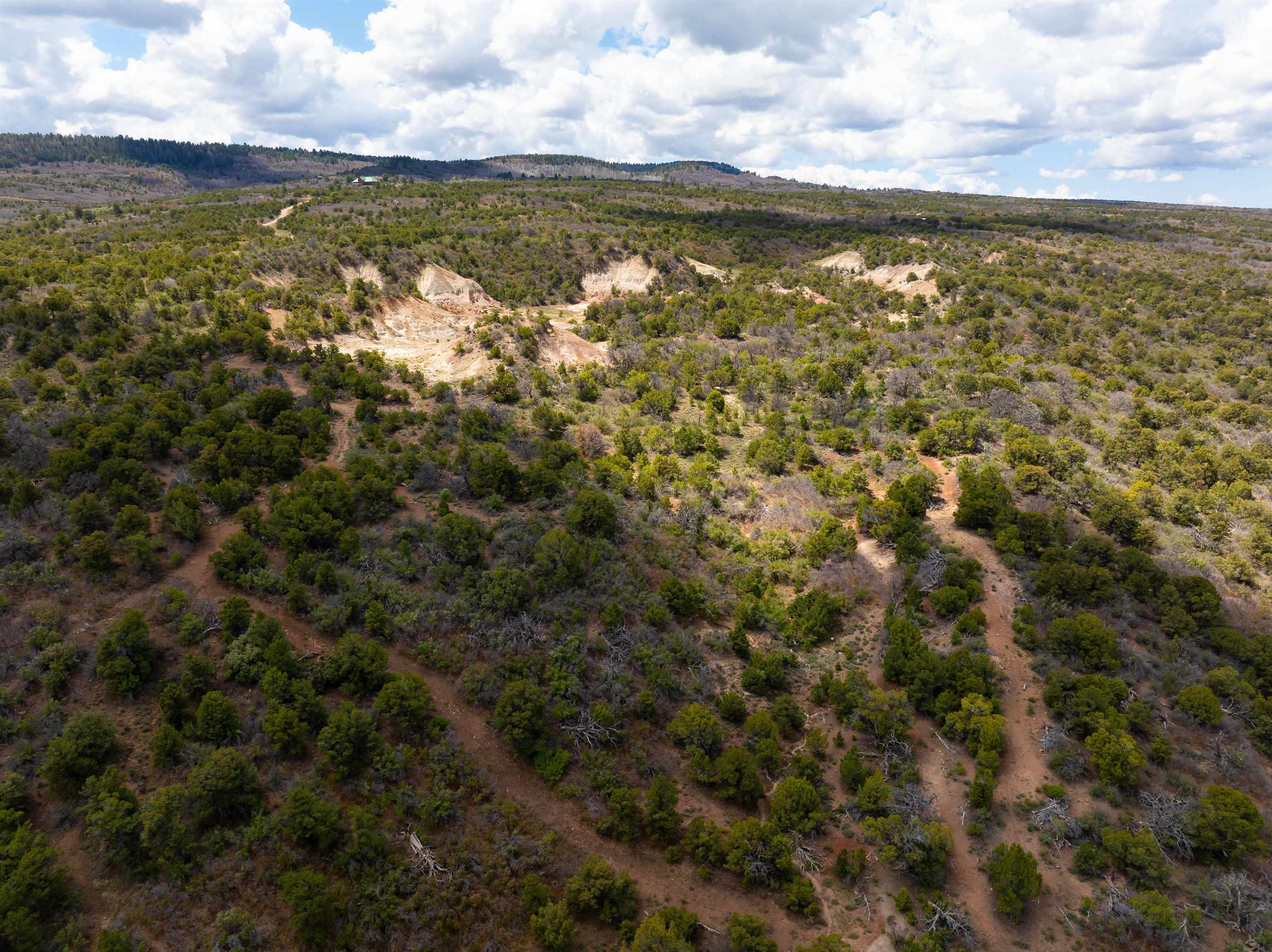 Lots 4,5,& 6 Elk Ranch Road Property Photo 19