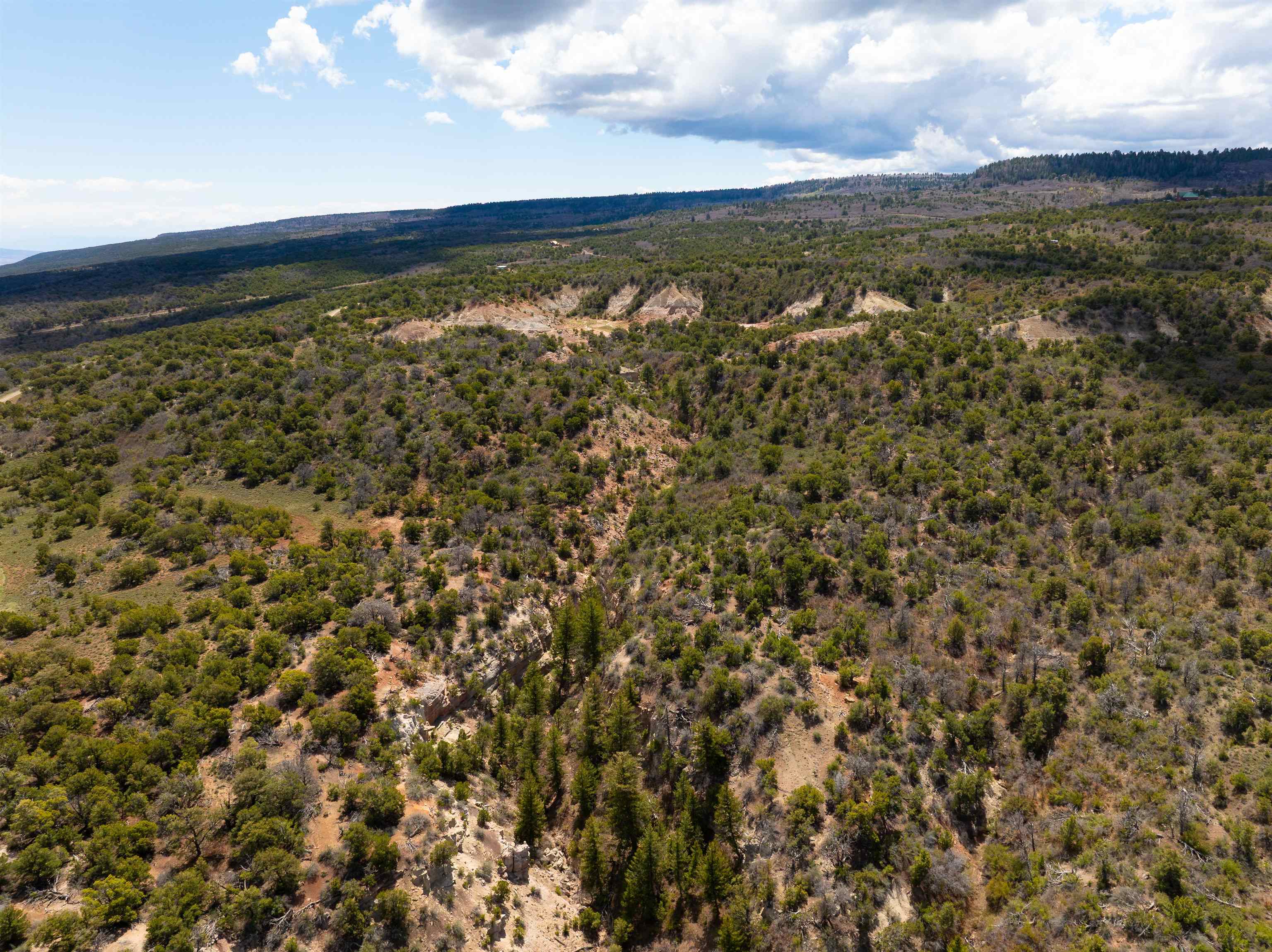 Lots 4,5,& 6 Elk Ranch Road Property Photo 22