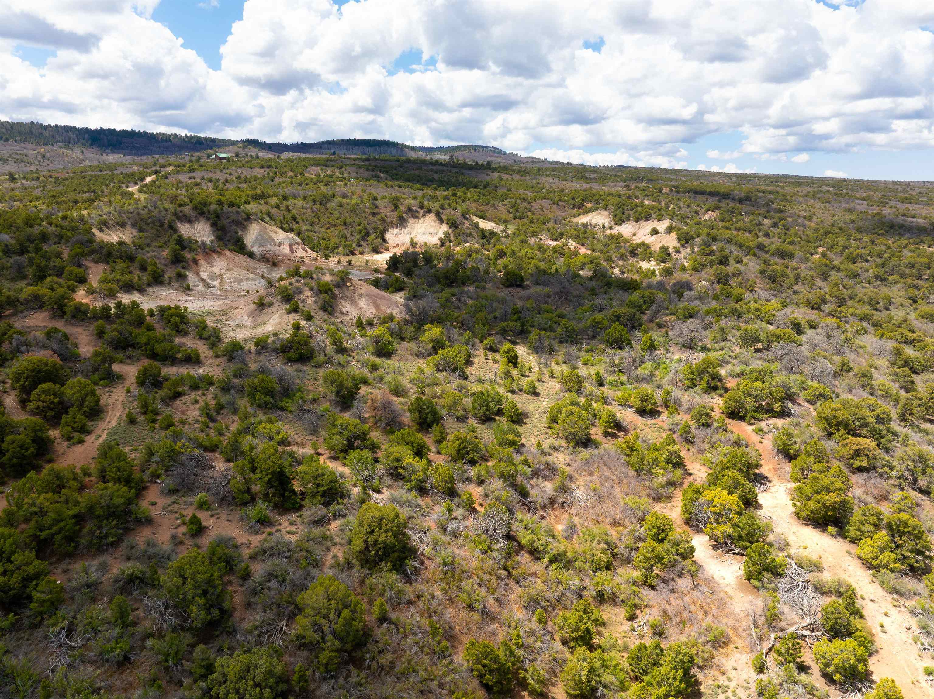 Lots 4,5,& 6 Elk Ranch Road Property Photo 23