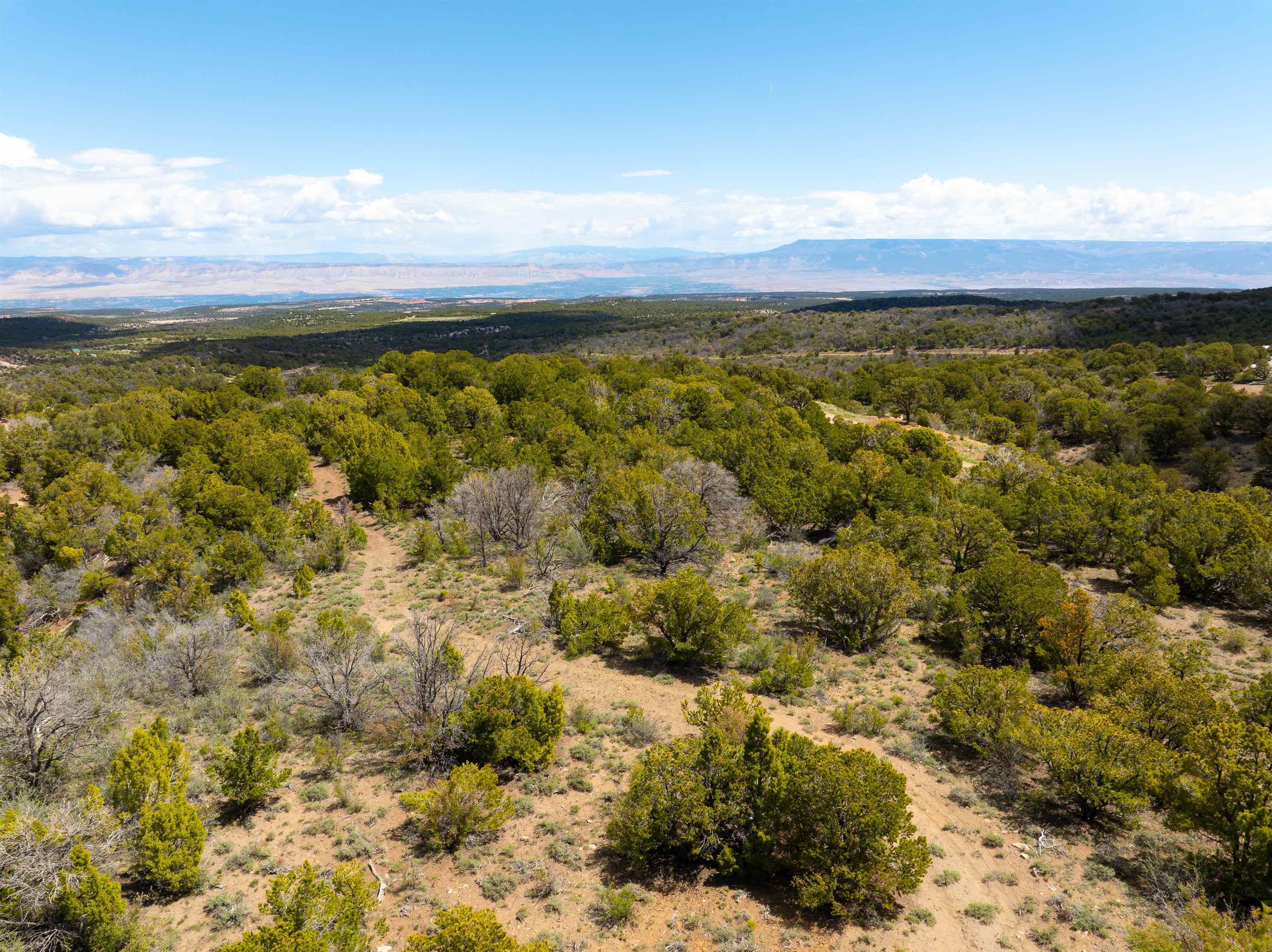 Lots 4,5,& 6 Elk Ranch Road Property Photo 28