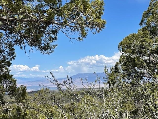 Lots 4,5,& 6 Elk Ranch Road Property Photo 29