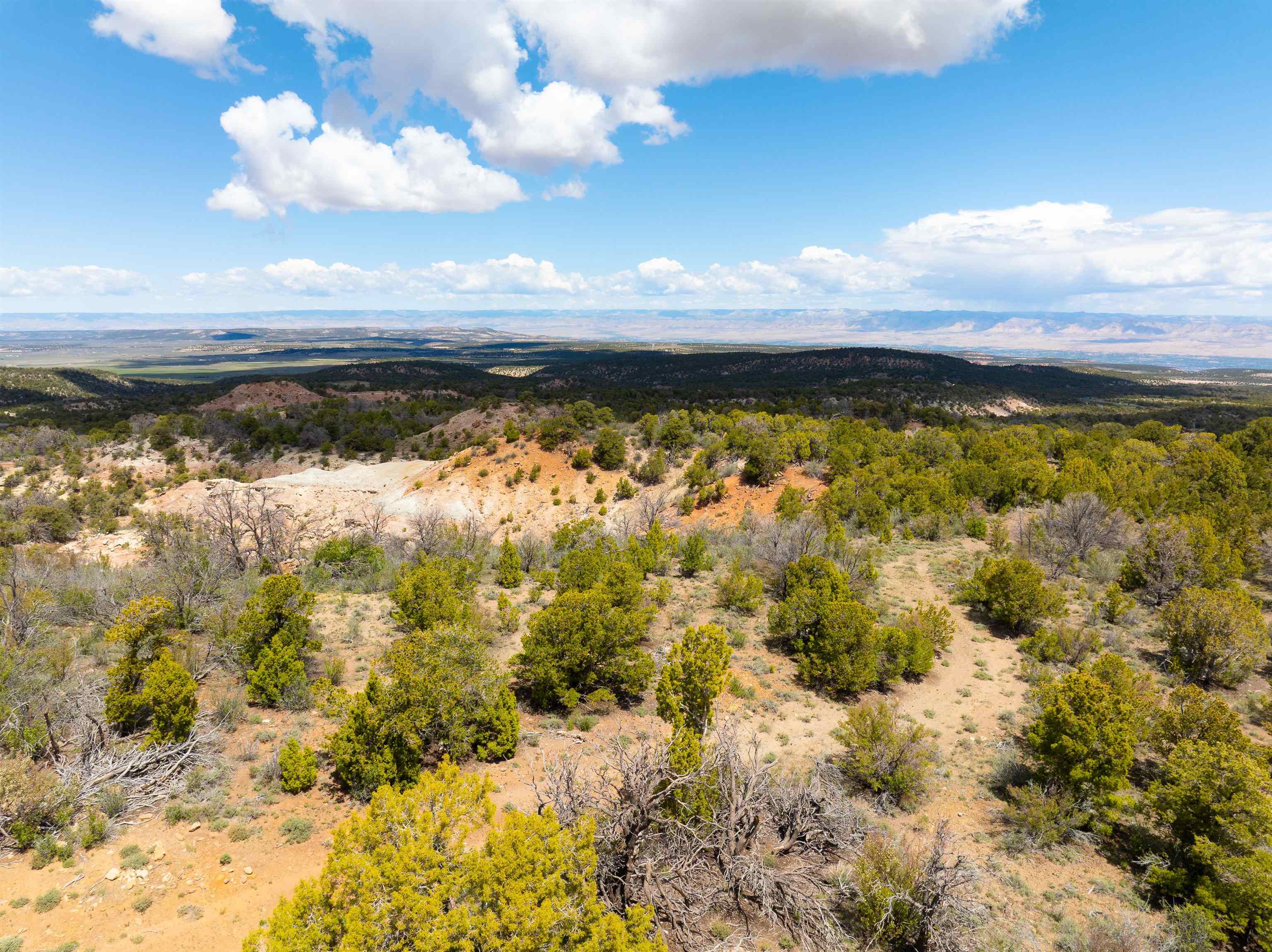 Lots 4,5,& 6 Elk Ranch Road Property Photo 31