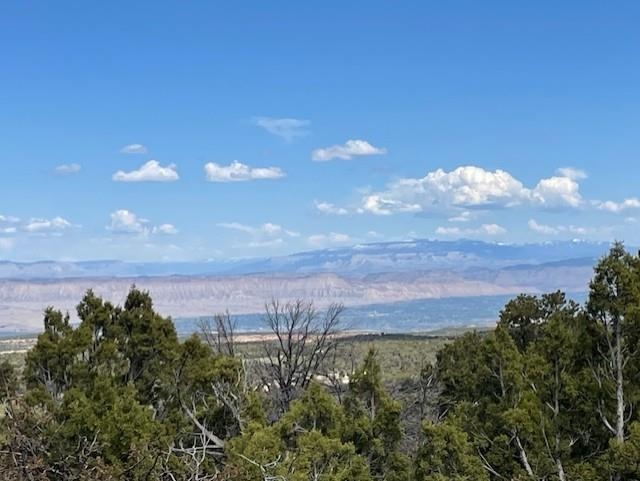 Lots 4,5,& 6 Elk Ranch Road Property Photo 35