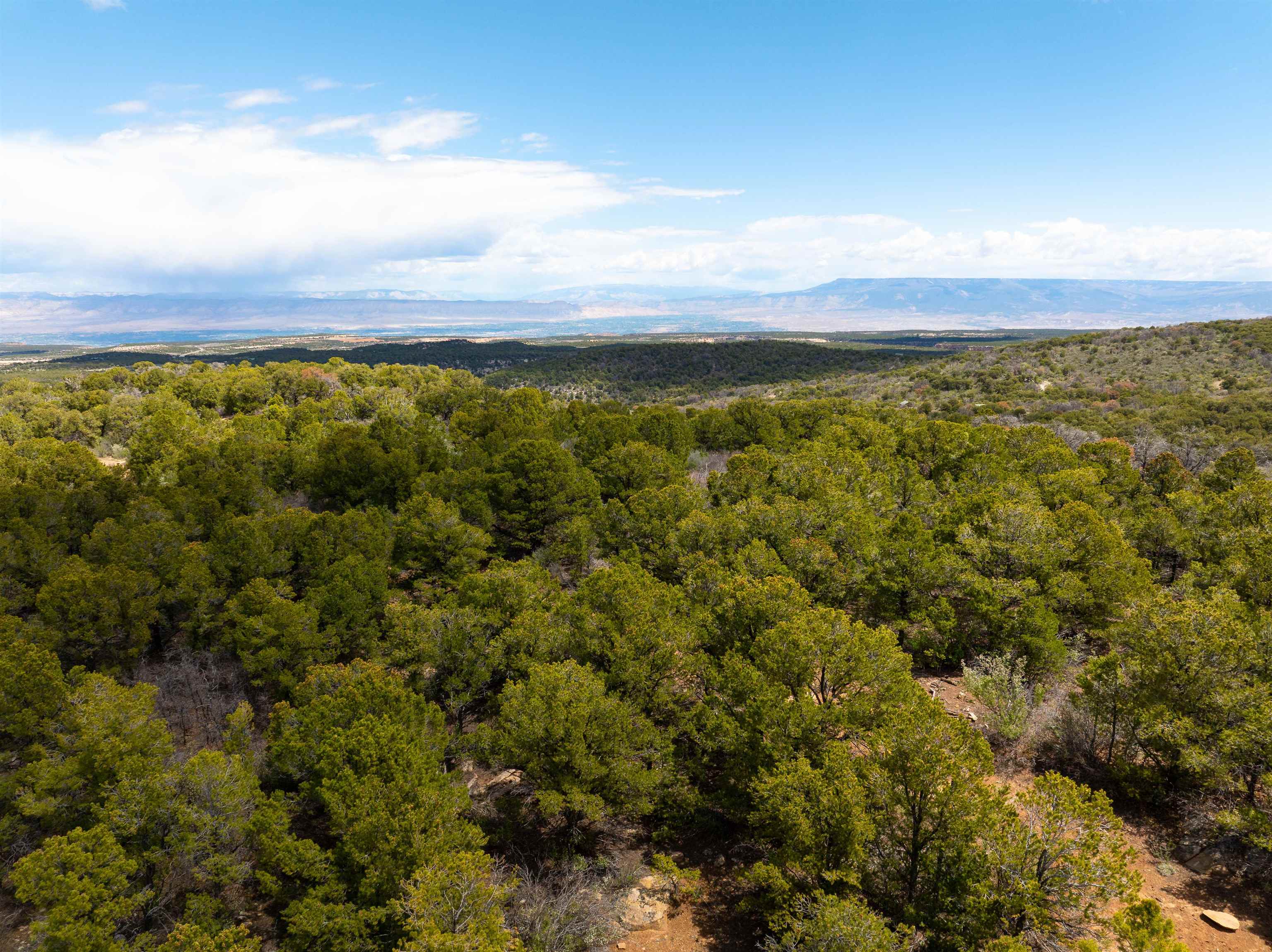 Lot 16 Elk Reserve Road Property Photo 5