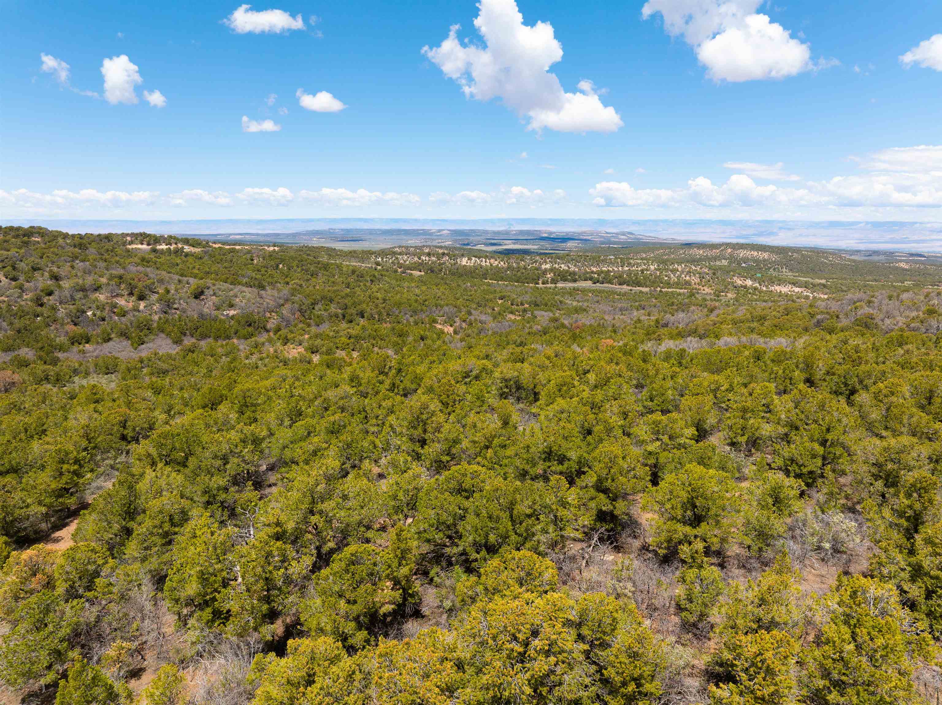 Lot 16 Elk Reserve Road Property Photo 6