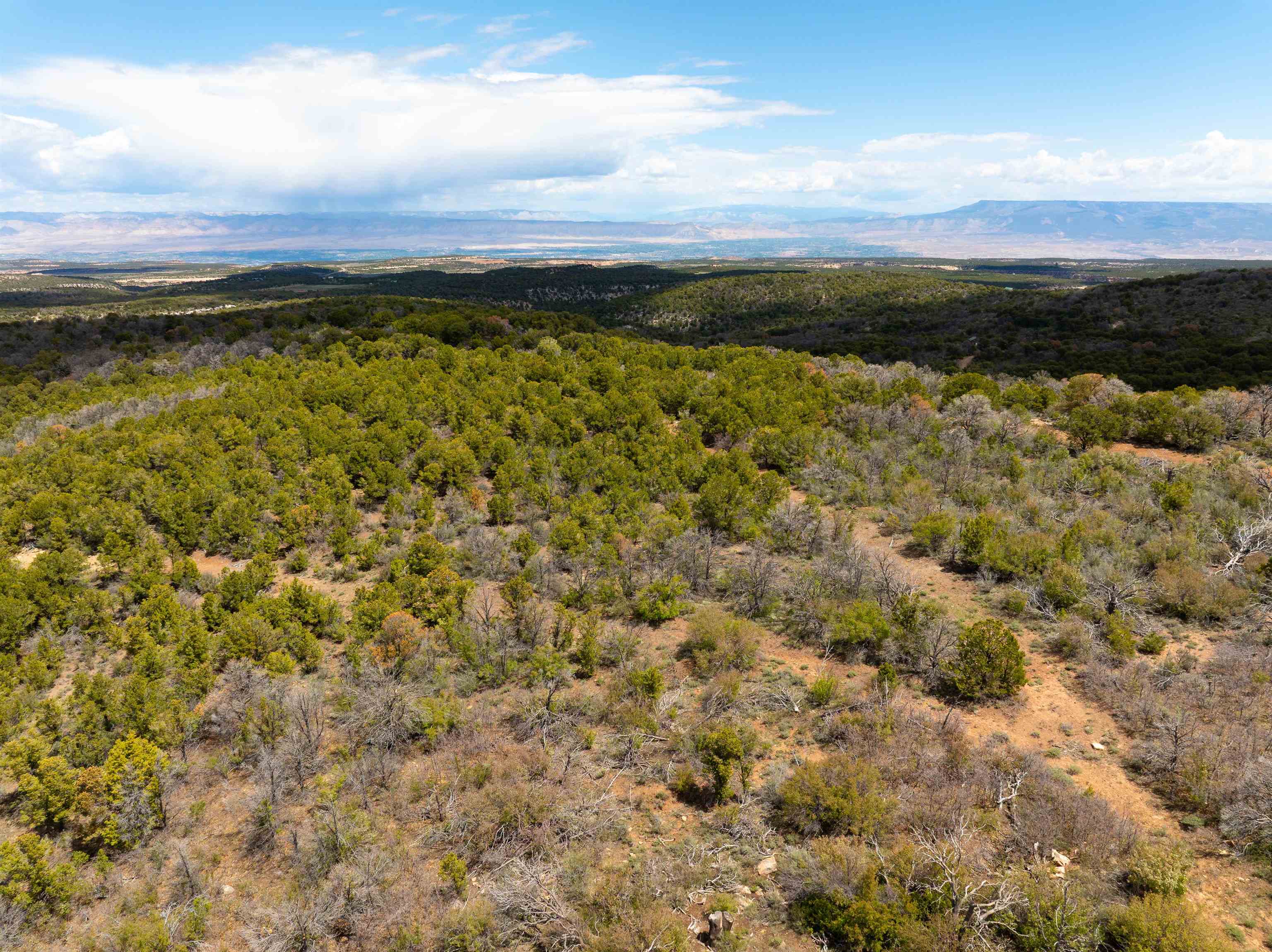 Lot 16 Elk Reserve Road Property Photo 7