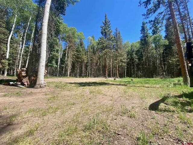 1772 Spruce Drive Property Photo
