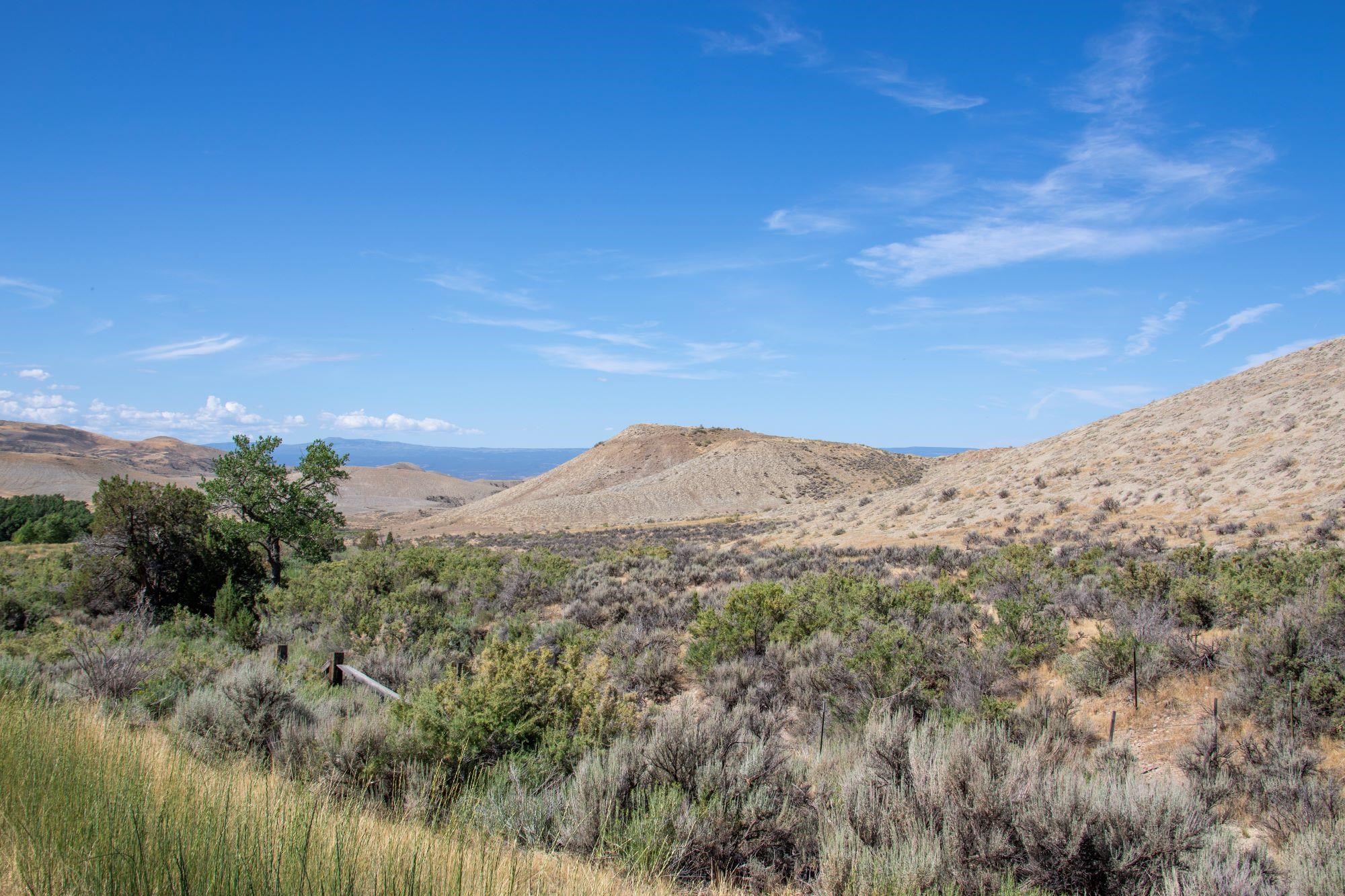 Tbd Tract 12 Highway 50 Property Photo 1