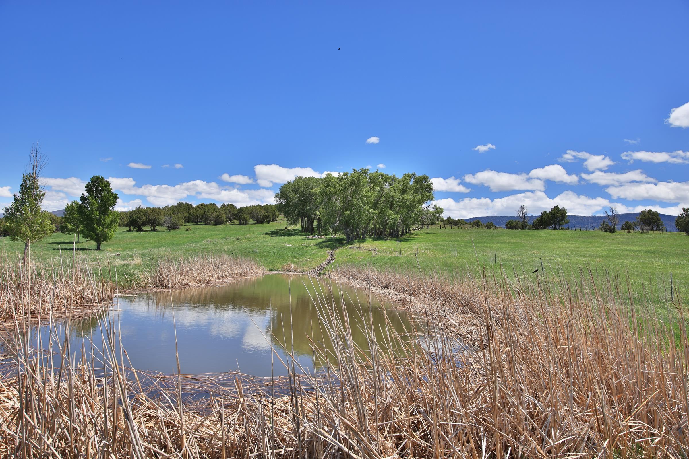57191 Me Road Property Photo 39